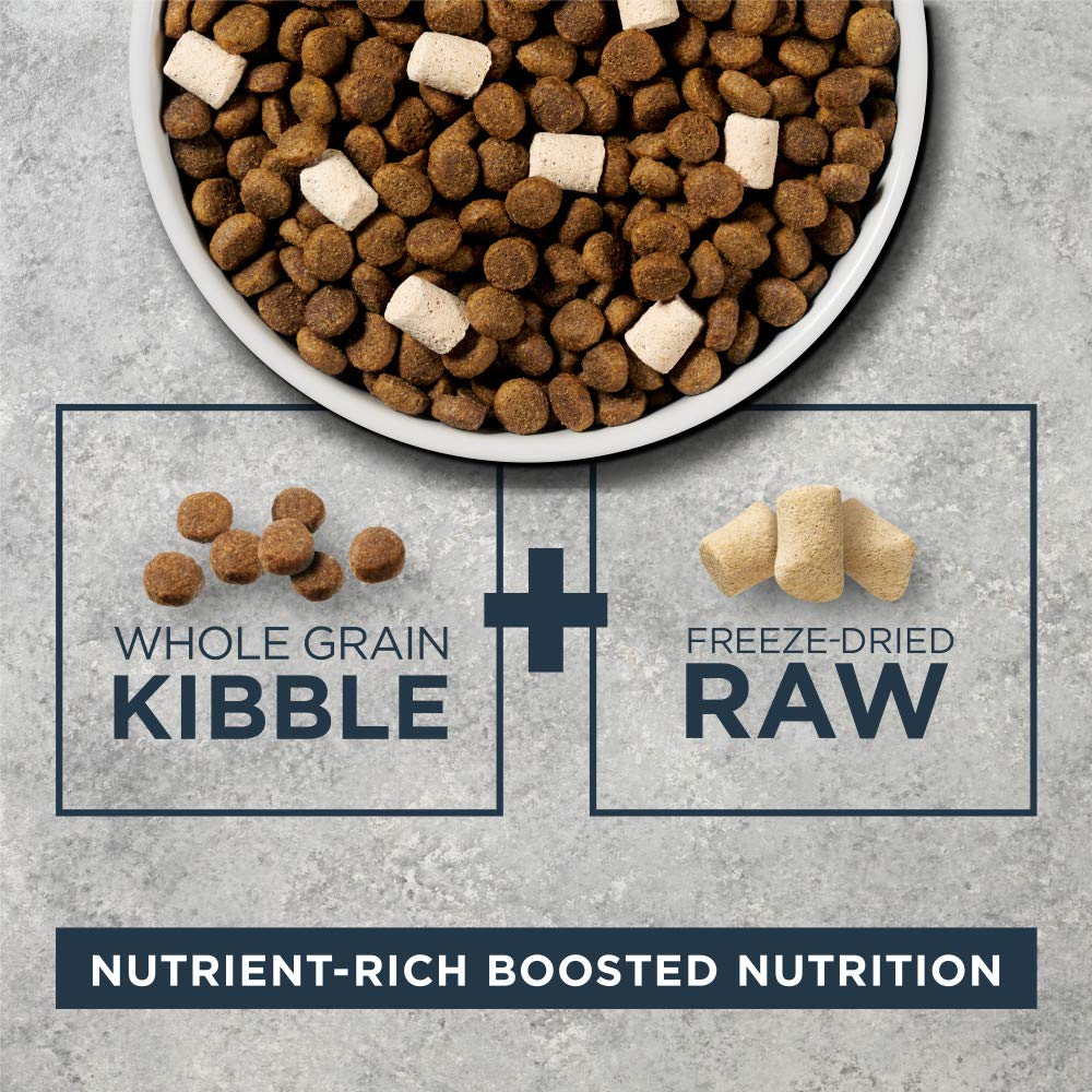 Instinct Raw Boost, Natural Dry Dog Food with Freeze Dried Pieces, High Protein, Whole Grain Recipe - Real Lamb & Oatmeal, 4.5 l