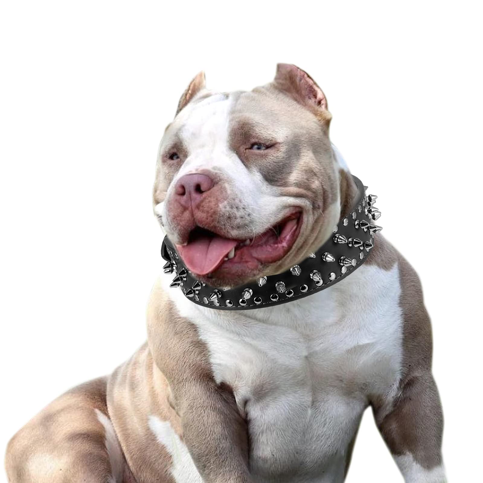 Hoot Pu Leather Adjustable Spiked Studded Dog Collar 2'' Wide 37 Spikes (M(Neck 19''-22''), Black)