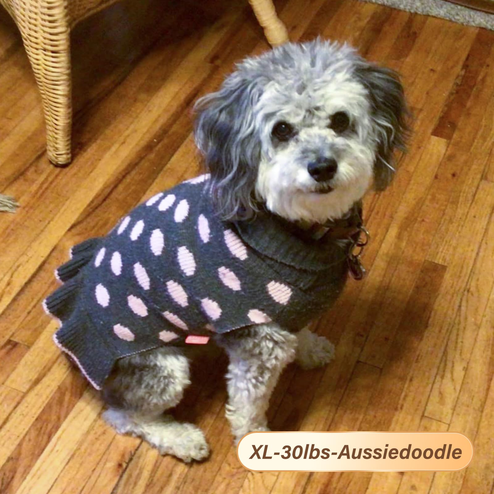 Kyeese Dog Sweater Dress With Leash Hole Turtleneck Dog Sweater Small Medium Knit Pullover Warm Pet Sweater For Fall Winter