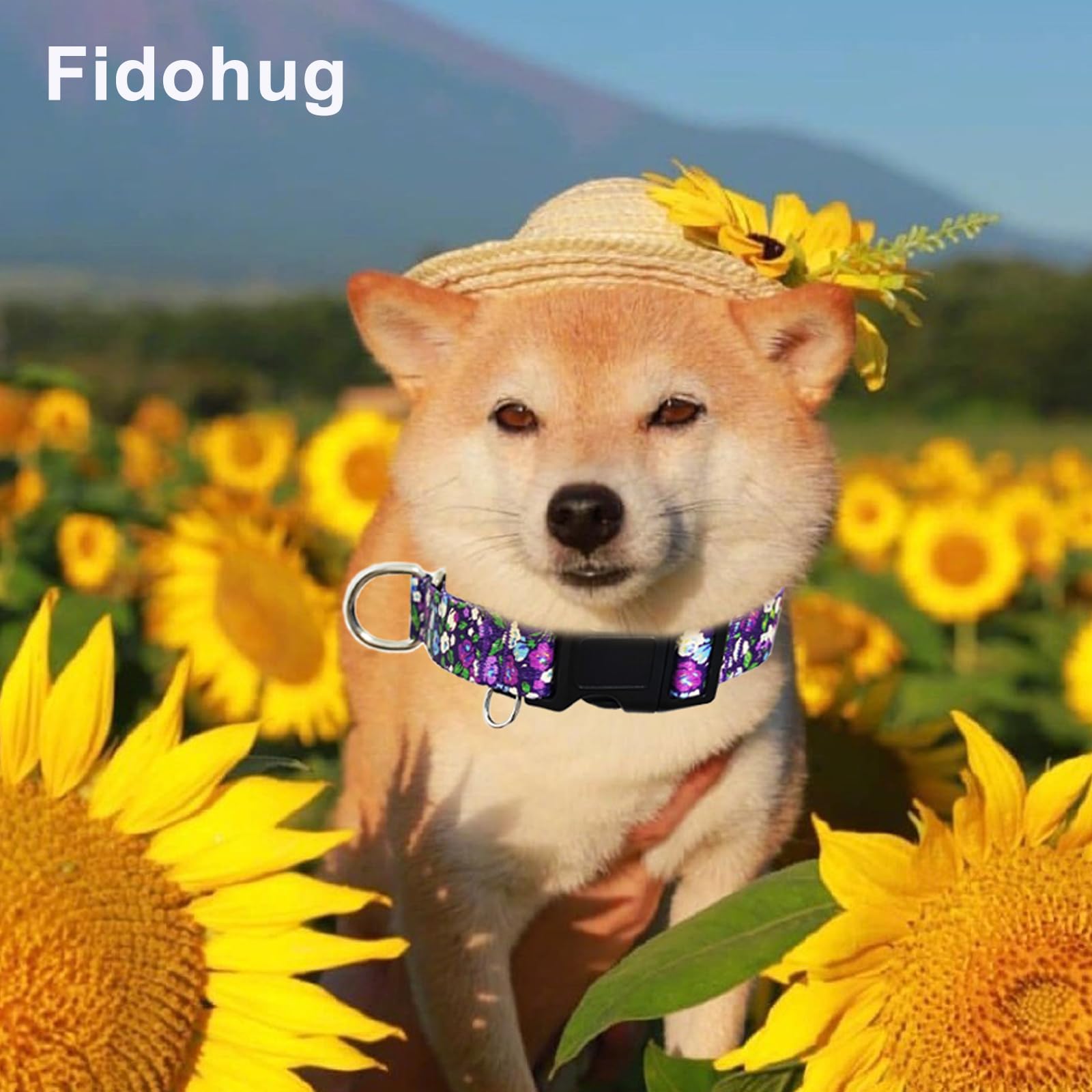 Fidohug Martingale Collar For Dogs With Buckle Adjustable Nylon Slip No Pull Training Dog Collars (Purple Floral, Small)