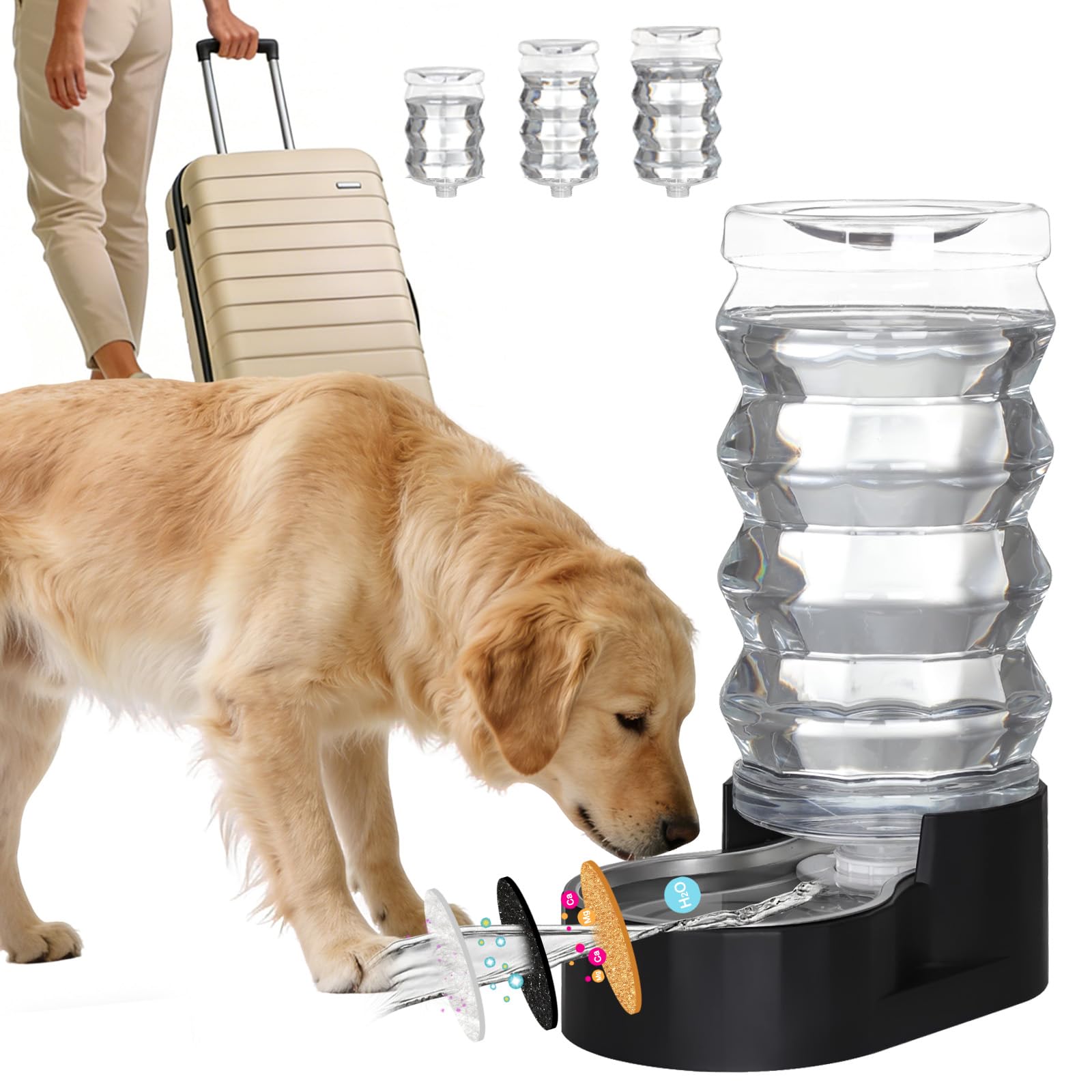 RIZZARI Large Dog Water Dispenser: Stainless Steel Pet Water Bowl - 9L Black Stainless Steel Automatic Pet Gravity Feeder with F