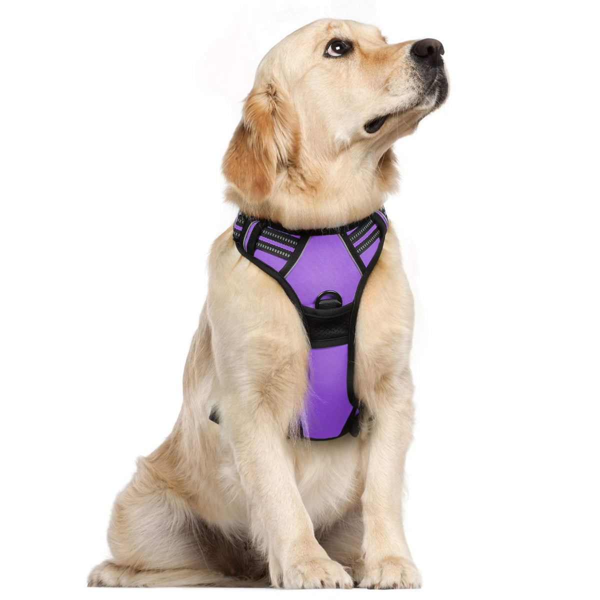 Rabbitgoo Dog Harness, No-Pull Pet Harness With 2 Leash Clips, Adjustable Soft Padded Dog Vest, Reflective No-Choke Pet Oxford Vest With Easy Control Handle For Large Dogs, Purple, Xl