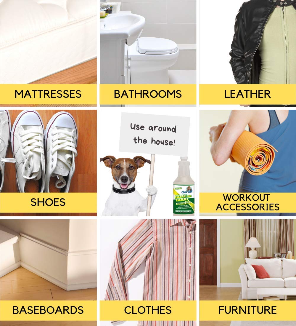 Chem-Girl - Gone For Good - Professional Odor, Stain, Urine Remover - Good For Dog & Cat Spot Cleaning, Carpets, Rug, Pet Beds, Other Household Uses - All Natural, Pet & Family Safe - 1 Quart