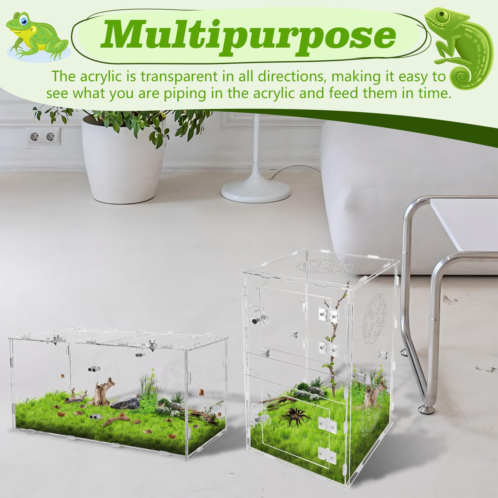 Acrylic Jumping Spider Enclosure With Double Compartments, Large Size,15.7 * 7.8 * 7.8 Inches, Reptile Terrarium Aquarium Breedi