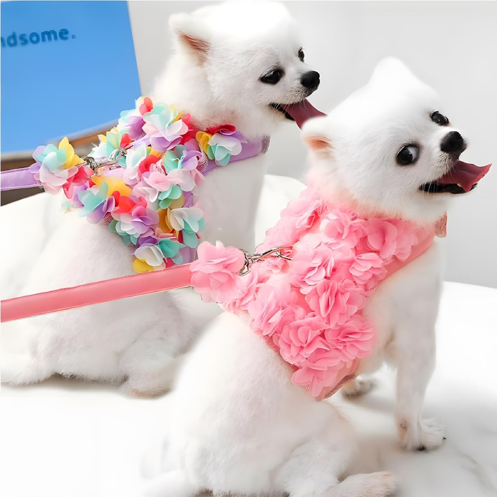 Cute Small Dog Harness - Escape-Proof Flower Dog Harness With Leash Set, Soft Mesh Small Puppy Vest Harness For Small Cats Dogs, Pink & Multicolor
