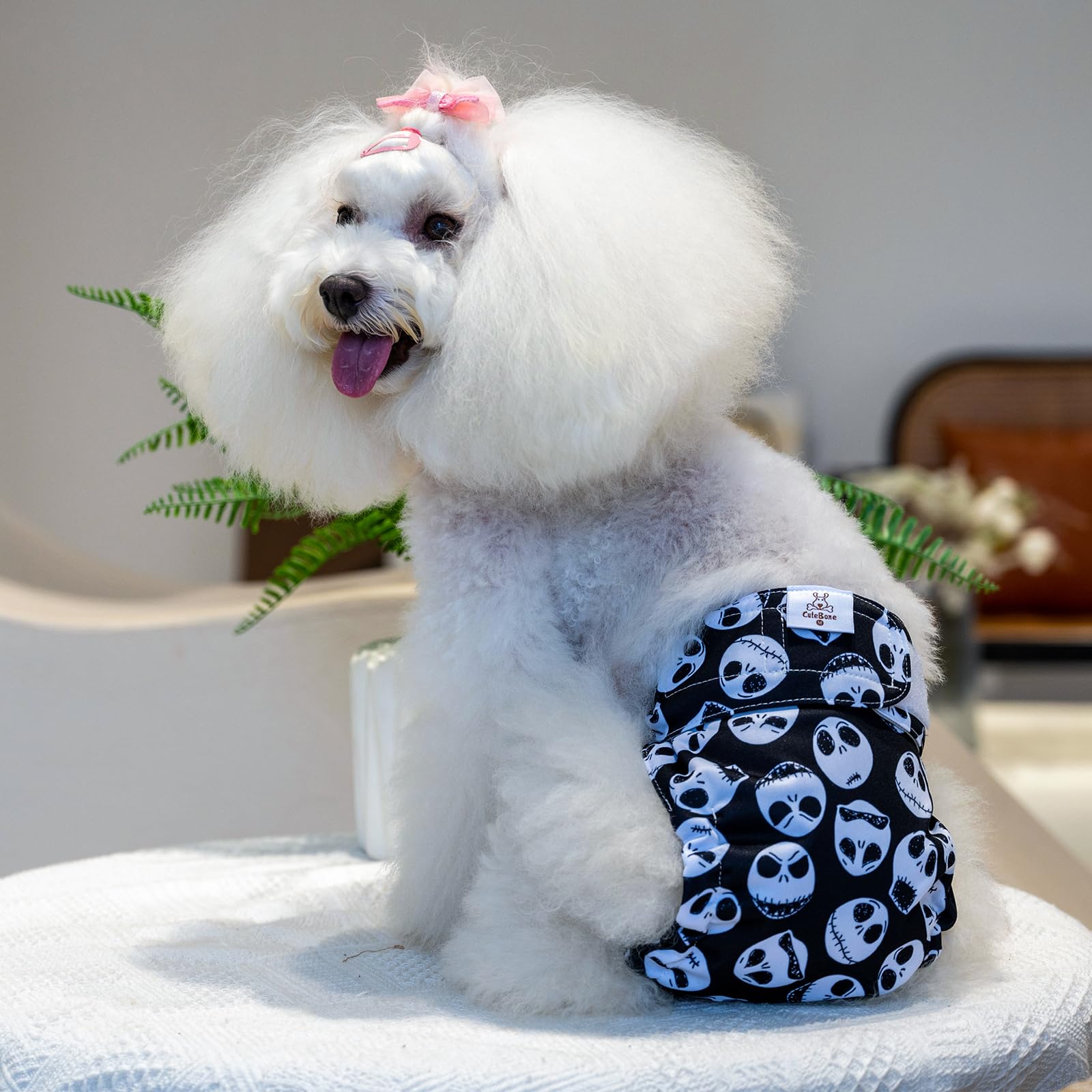 Cutebone Washable Halloween Dog Diapers Female No Tail Hole 3 Pack Reusable Doggie Period Training Pants For Docked-Tail Frenchi