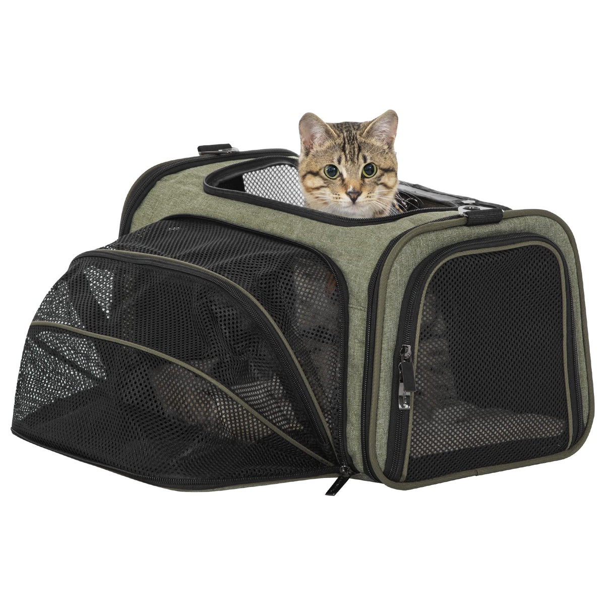 Petsfit Expandable Rabbit Carrier Small Cat Carrier Airline Approved, 16X10X9 Inches Soft-Sided Portable Small Animal Travel Bag For Kitten/Puppy/Bunny/Guinea Pig