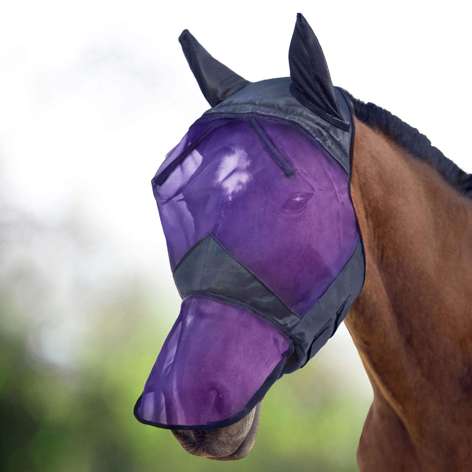Harrison Howard CareMaster Horse Fly Mask Long Nose with Ears Full Face Black/Purple Retro Small Pony