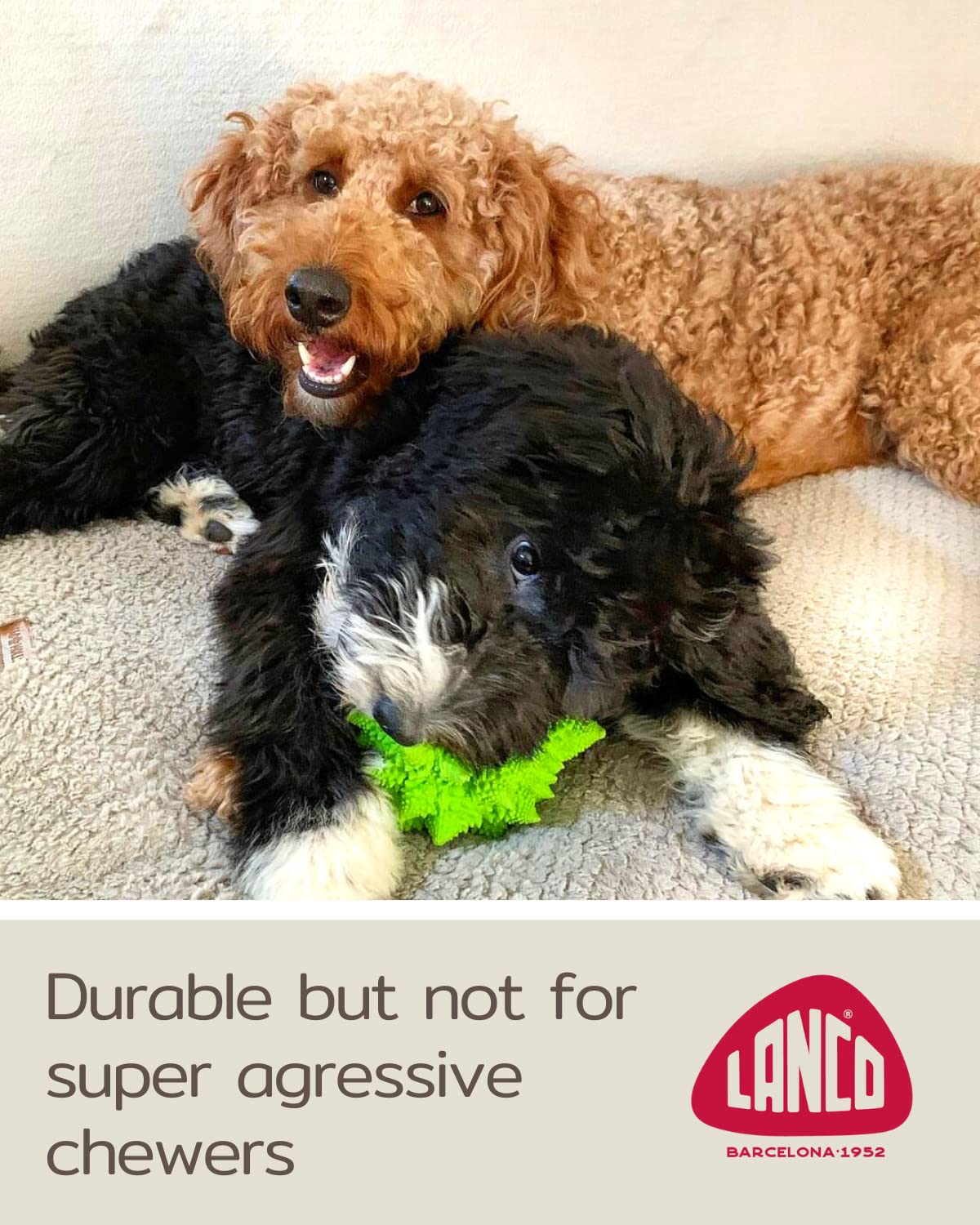 Xl Squeaky Dog Toy - Large And Medium Dogs - Sensory Nubby Dog Toy Broccoli - Natural Rubber (Latex) - Free From Harmful Chemicals (Green) -Like New