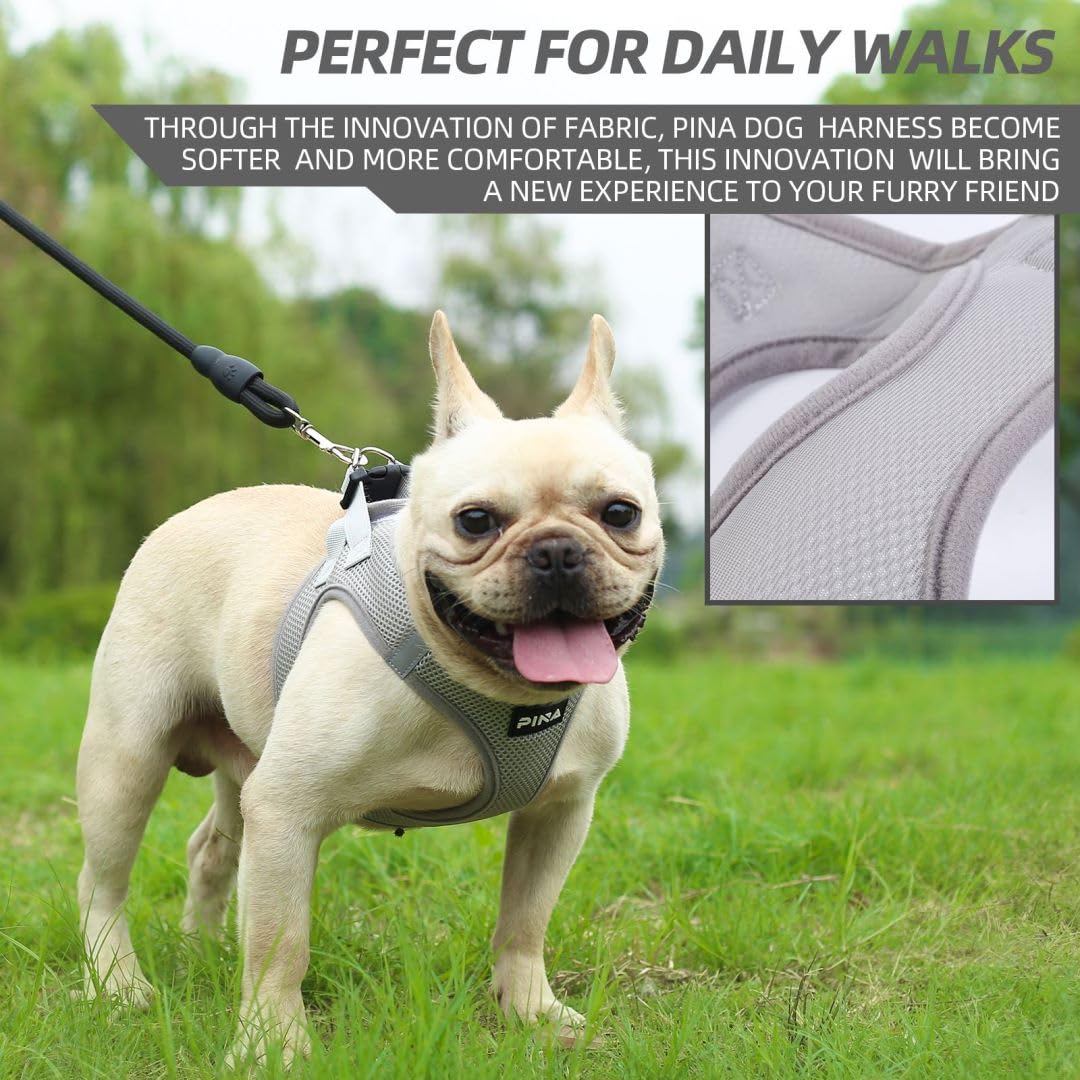 Pina Dog Harness For Small Dogs No Pull, Small Dog Harness And Leash Set, No Choke Breathable Mesh Dog Vest Harness, Lightweight