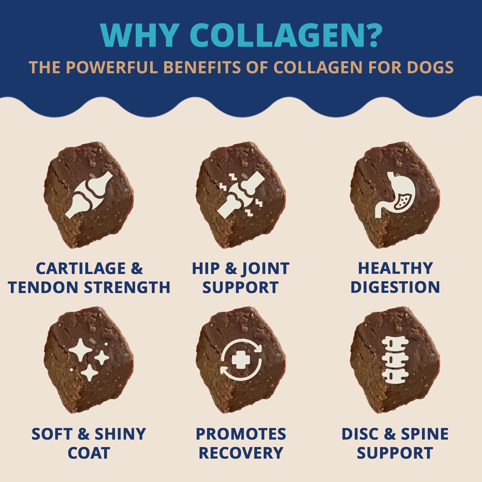 Under the Weather Collagen Chews for Dogs | Promotes Healthy Skin Coat and Stronger Hip & Joint | Improves Overall Mobility | Im