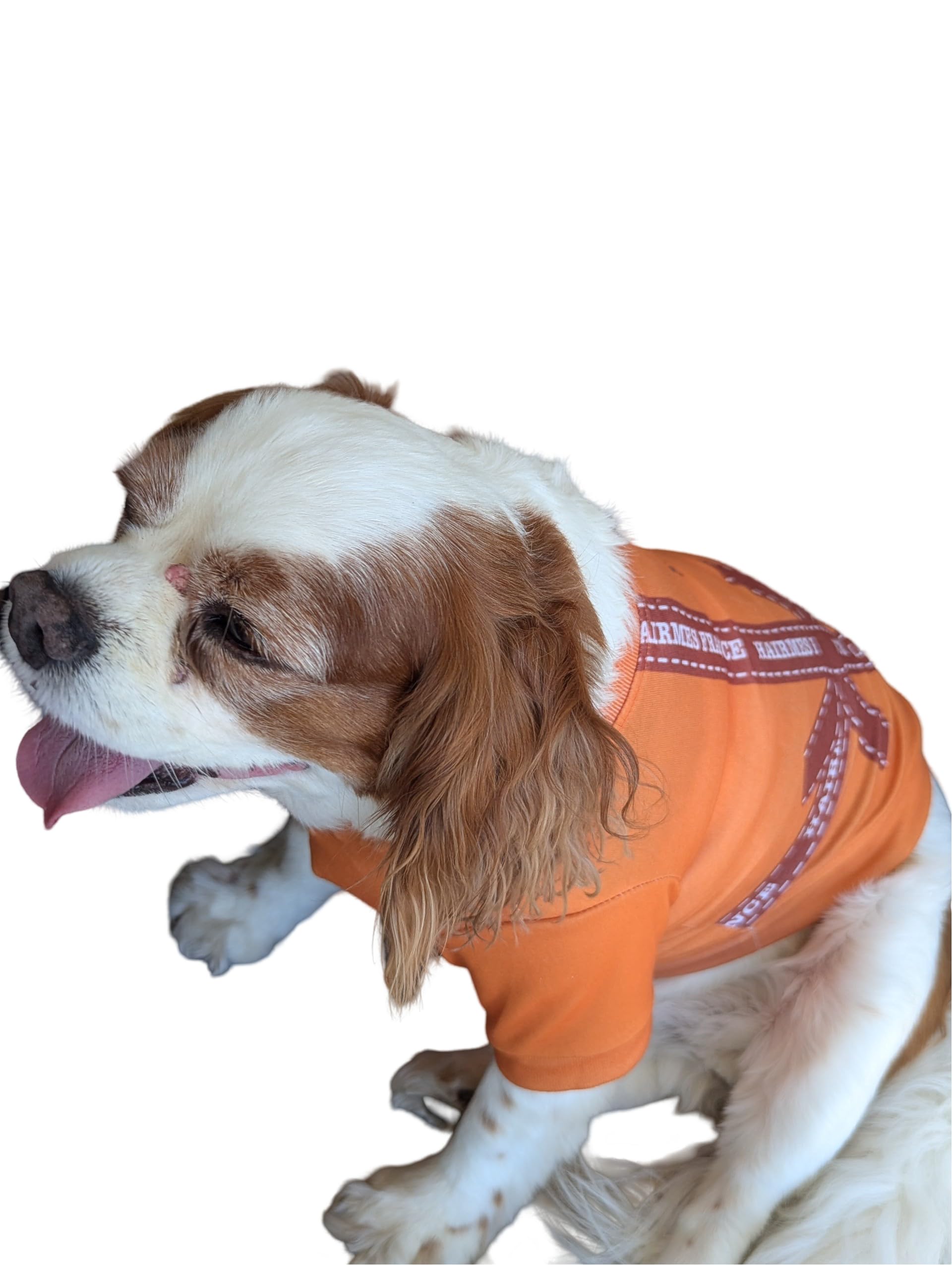 Dog T-Shirt Tee Clothes Vest Lightweight Stretchy Soft Cool Breathable Puppy (Mulit, Large)