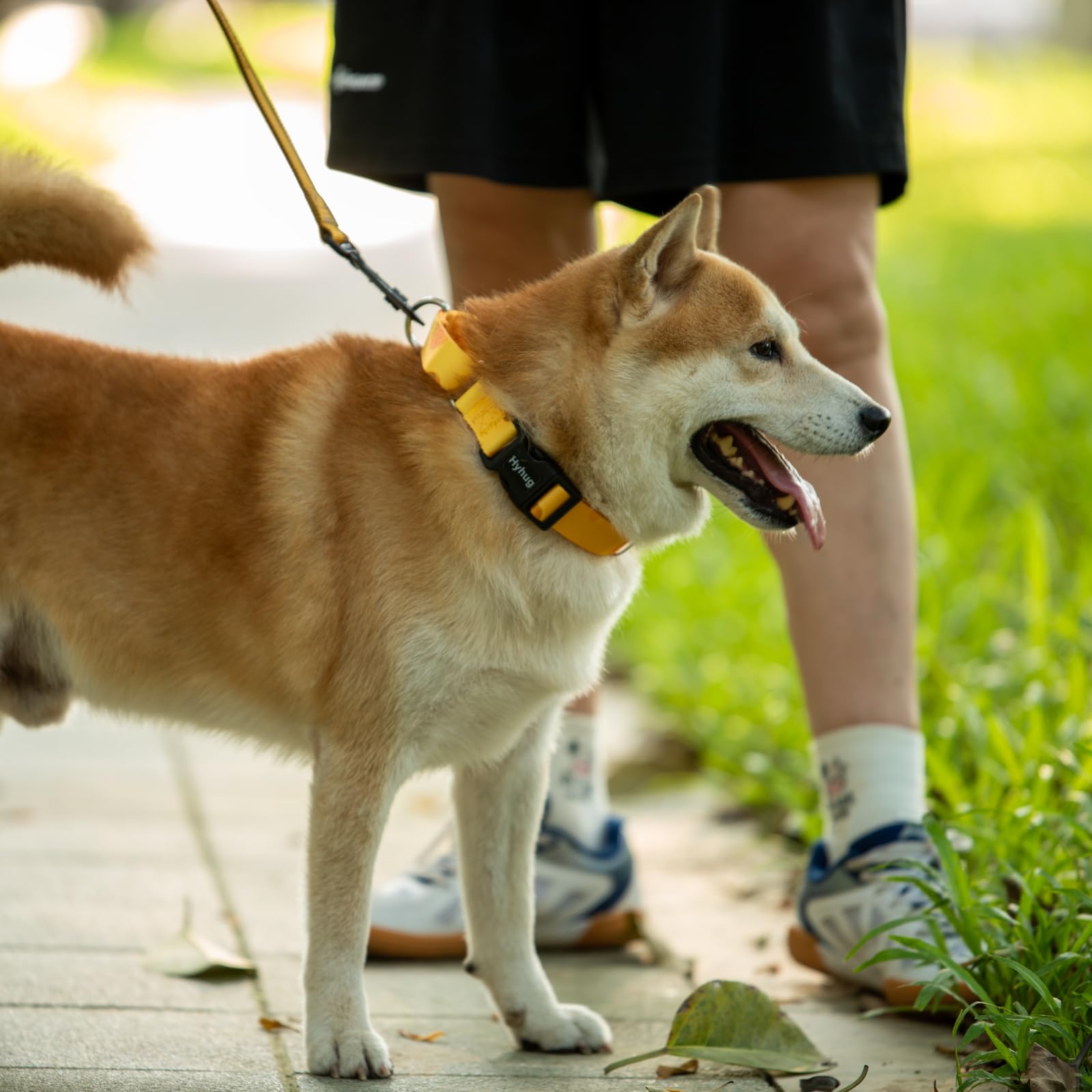Hyhug Martingale Collar With Buckle, No Pull Non Slip Escape Proof Collar, Adjustable Nylon Martingale Dog Collar For Small Dogs
