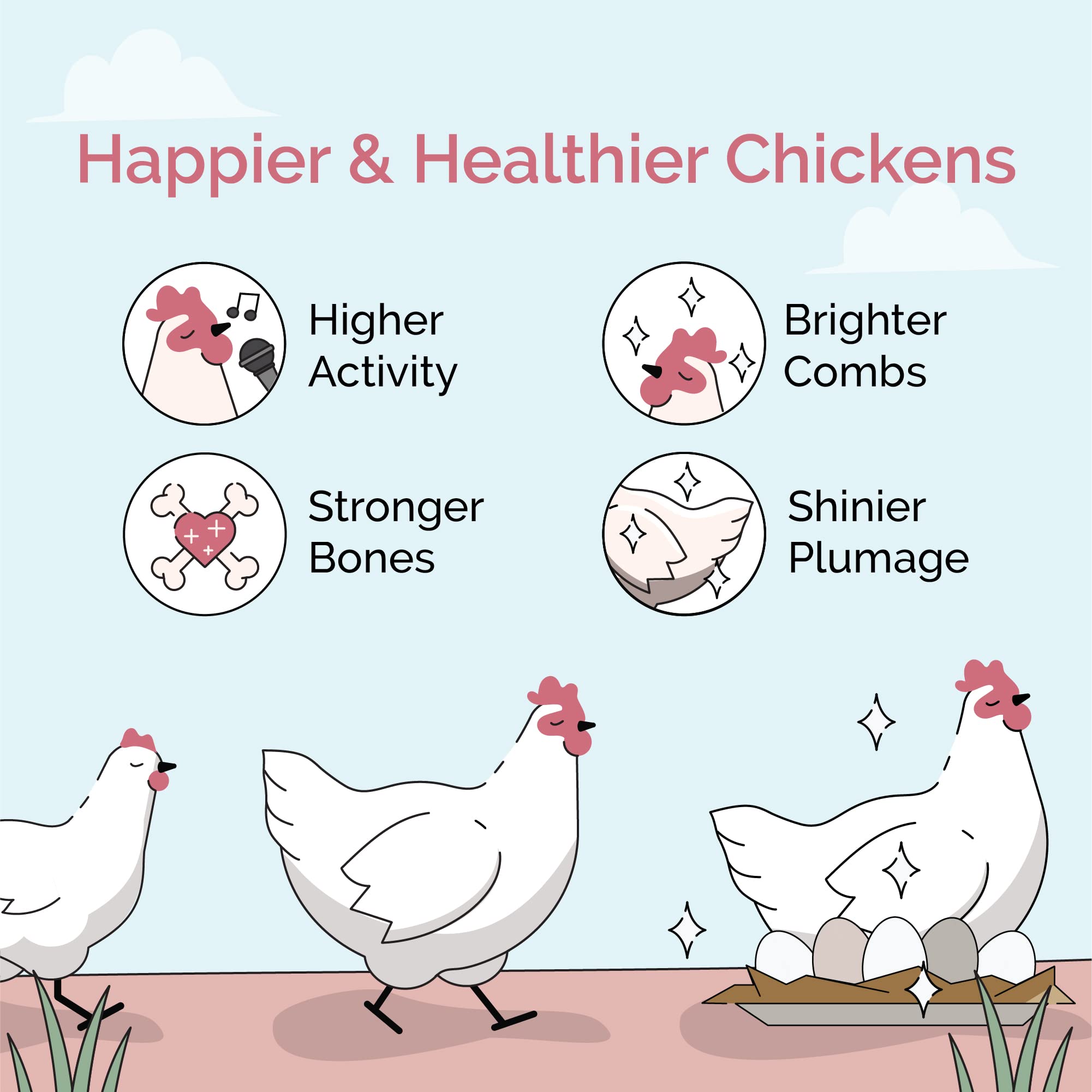 Mile Four Organic Layer Chicken Feed - Non-GMO, Corn-Free, Soy-Free - 23 lbs - 16% Protein for Chickens, Ducks, Geese & Gamebirds