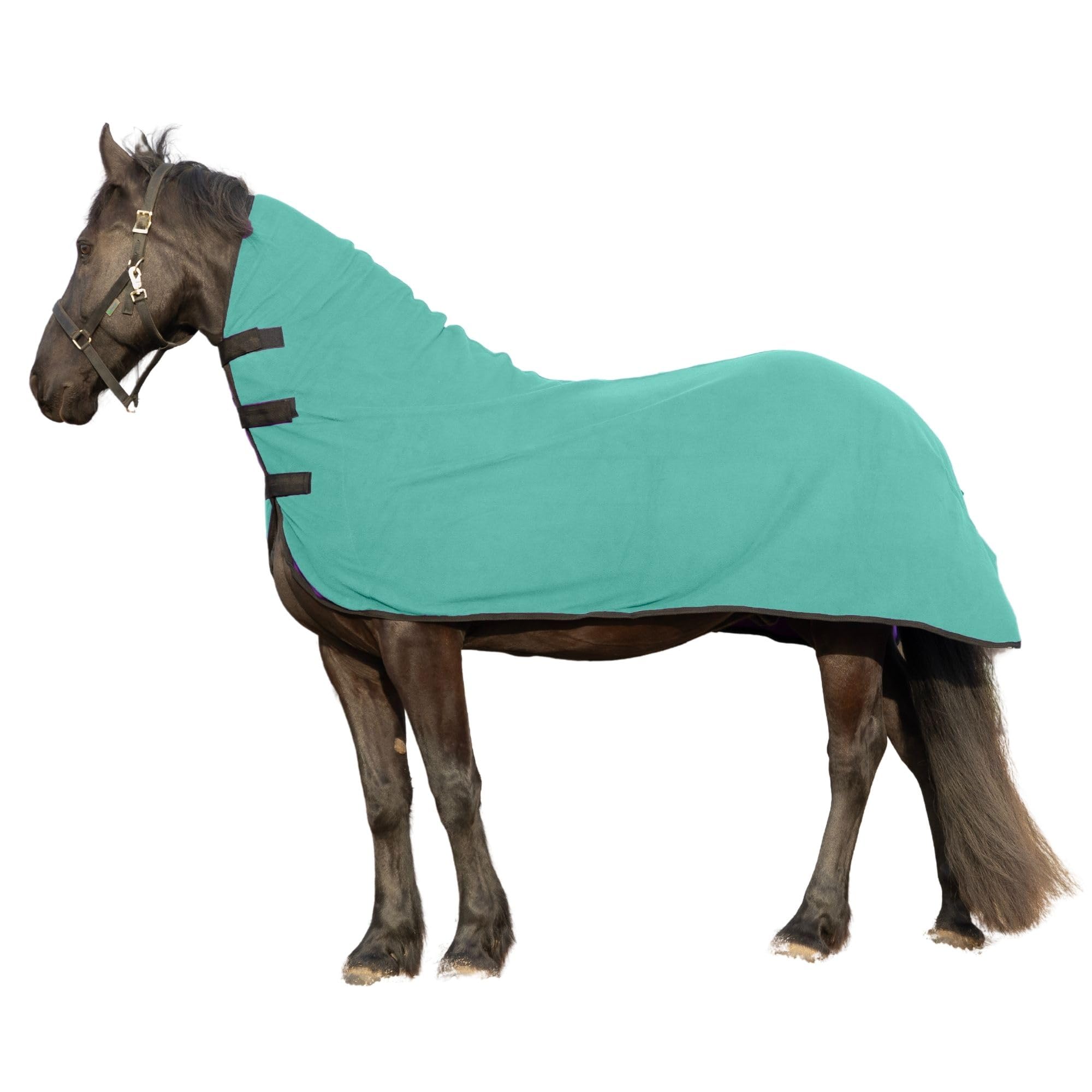 Resistance Long Lasting & Warm Soft Fleece Contour Cooler For Horse (Teal, Medium)
