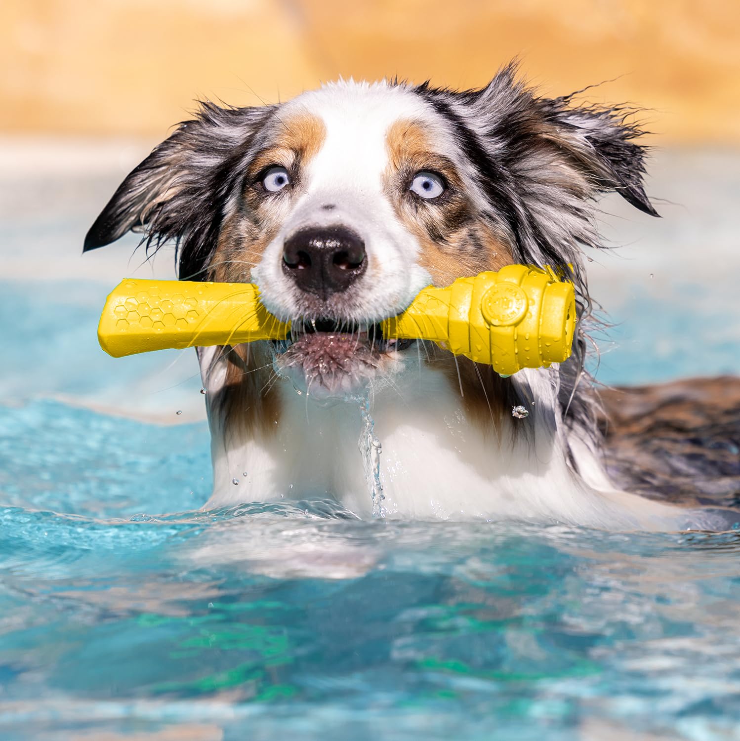 Project Hive Pet Company - Hive Dog Fetch Stick For Large Breeds - Dog Stick Toy - Floats In Water - Treat Dispenser Toy - Durab