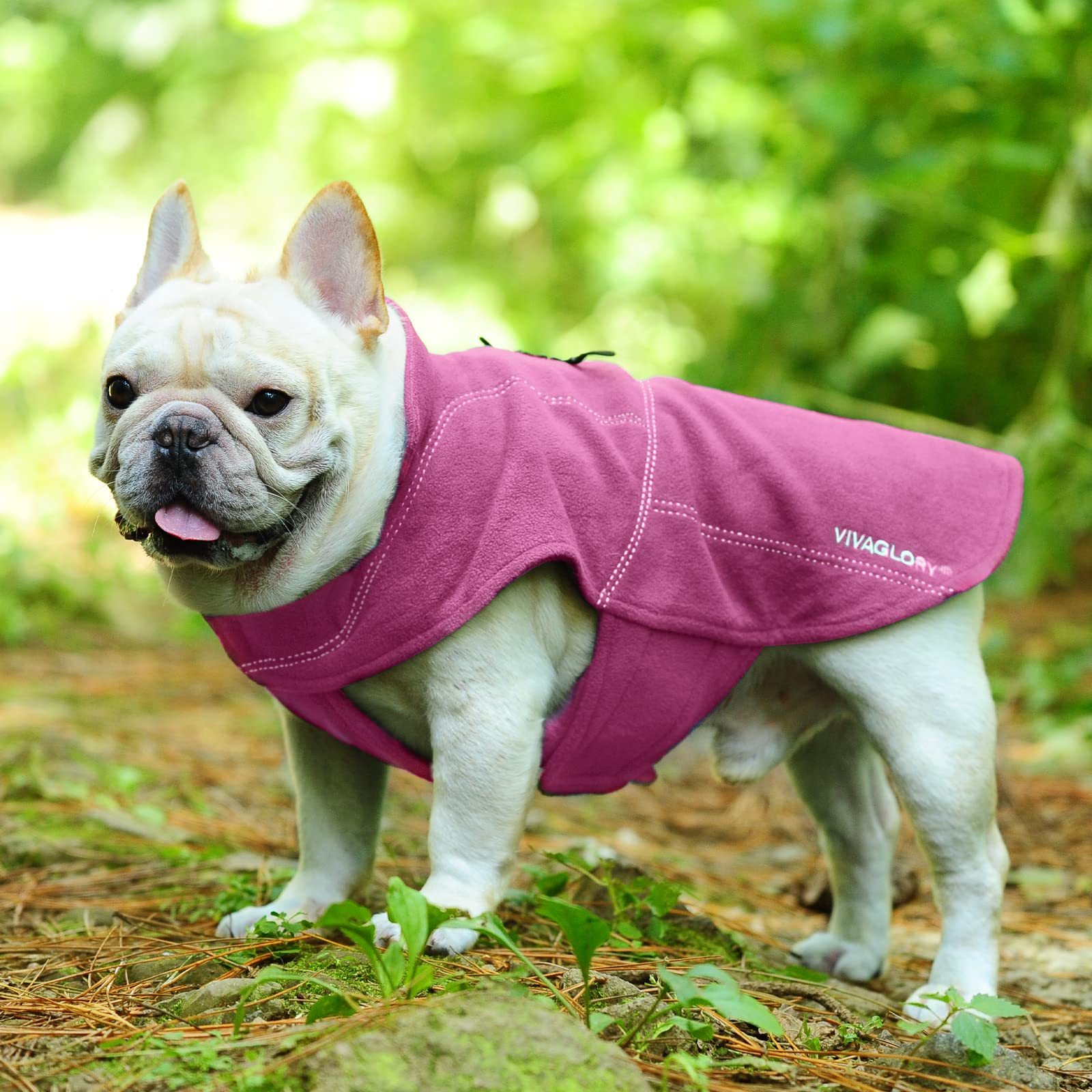 VIVAGLORY Dog Fleece Vest, Dog Cold Weather Sweater for Medium Dogs, Adjustable Winter Warm Clothes with Two-Way Zipper Opening,