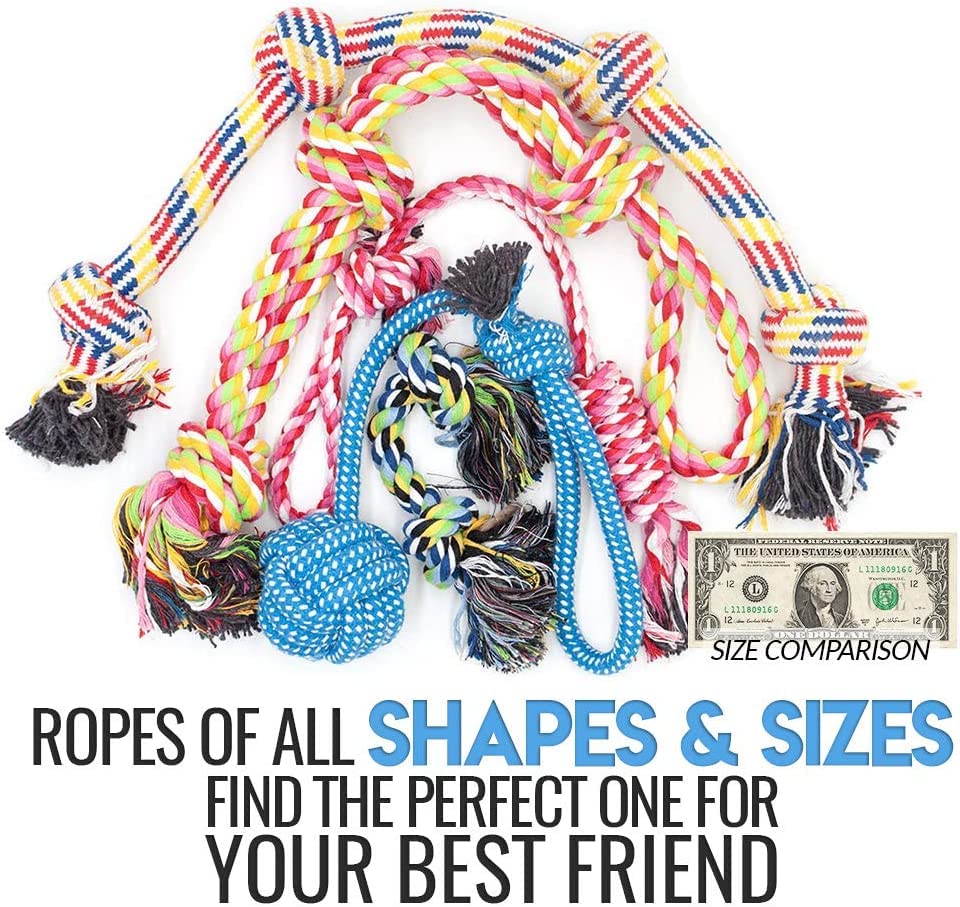 Otis & Claude Variety Pack Rope Toys For Small & Medium Dogs, Heavy Duty Dog Chew Toys For Aggressive Chewers, Cotton Chew Toys For Teething, 11-Count