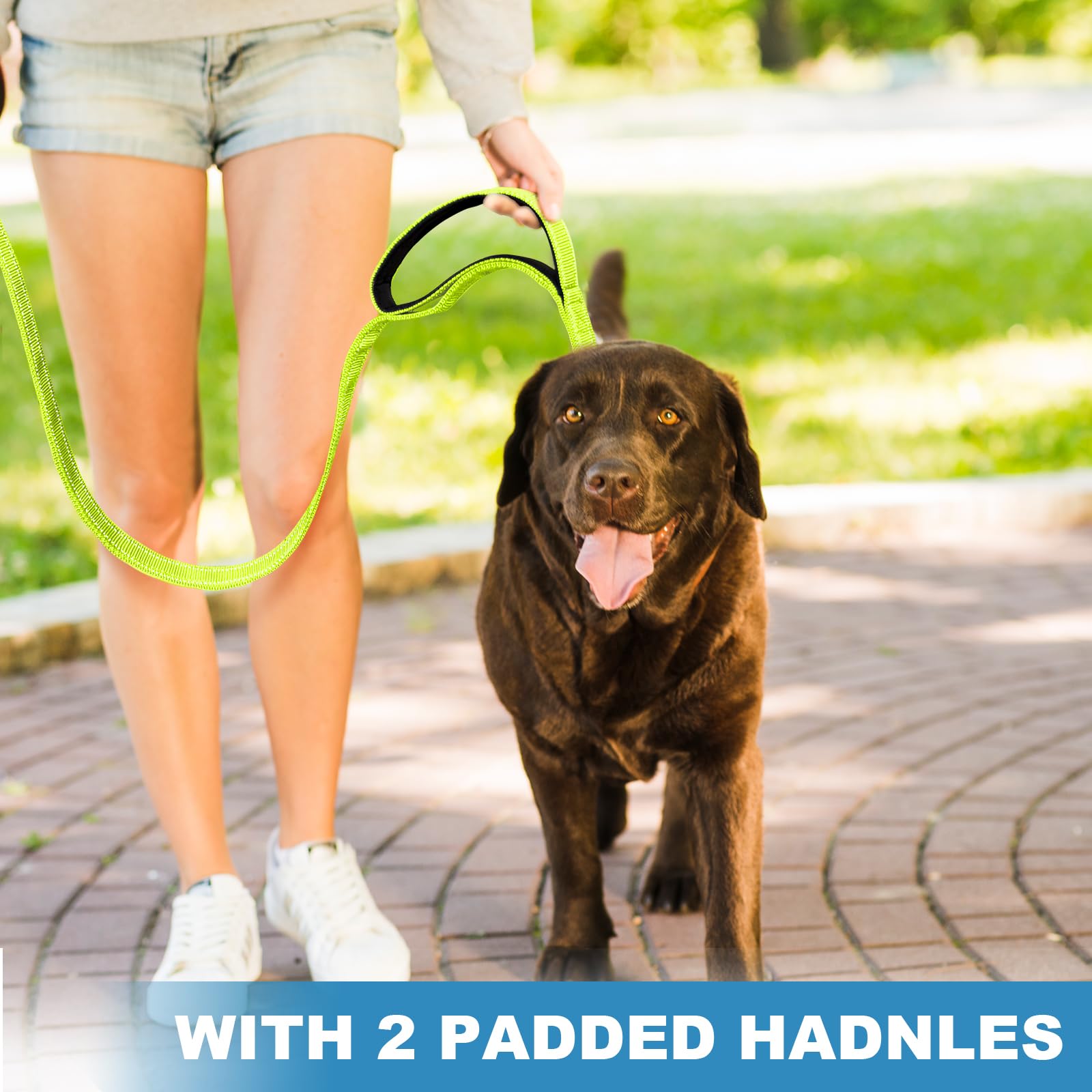 Heavy Duty Double-Sided Reflective Dog Leash, Padded Handle Nylon Reinforced Reflective Buckle Dog Collar, Green, Large, 6Ft