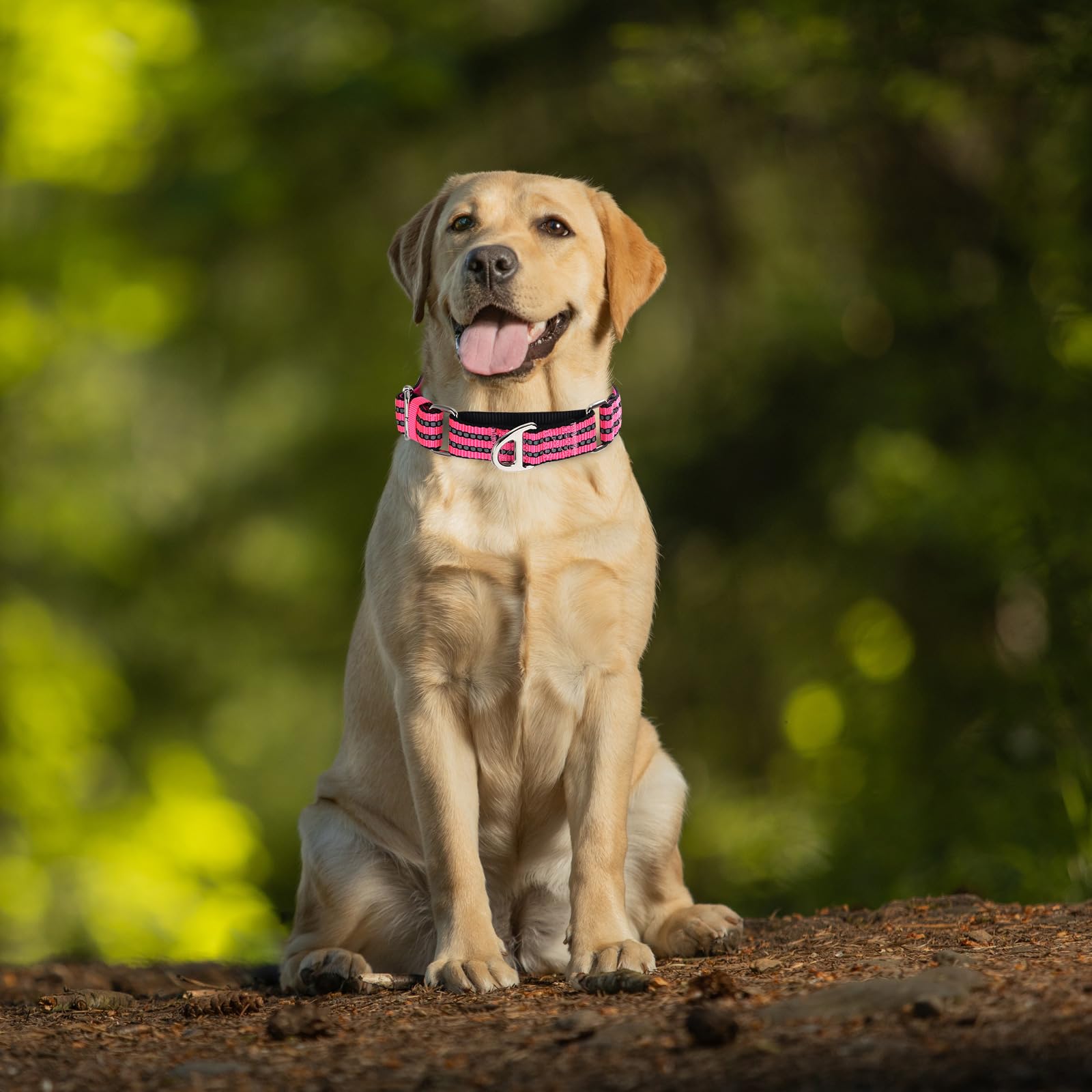 Onefojojo Martingale Dog Collars Reflective Nylon Dog Collar With No Buckle Adjustable Training No Slip Dog Collar (Small,Pink)
