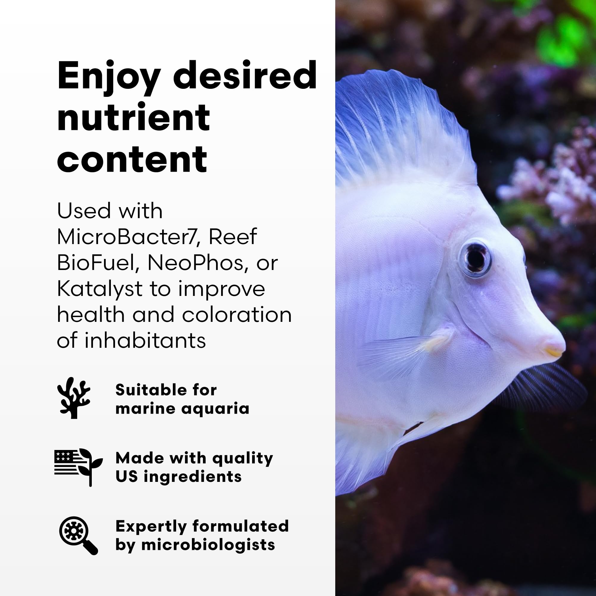Brightwell Aquatics NeoNitro Balanced Nitrogen Supplement - Reef Nutrient Enhancer for Ultra-Low Nutrient Systems - Aquarium Wat