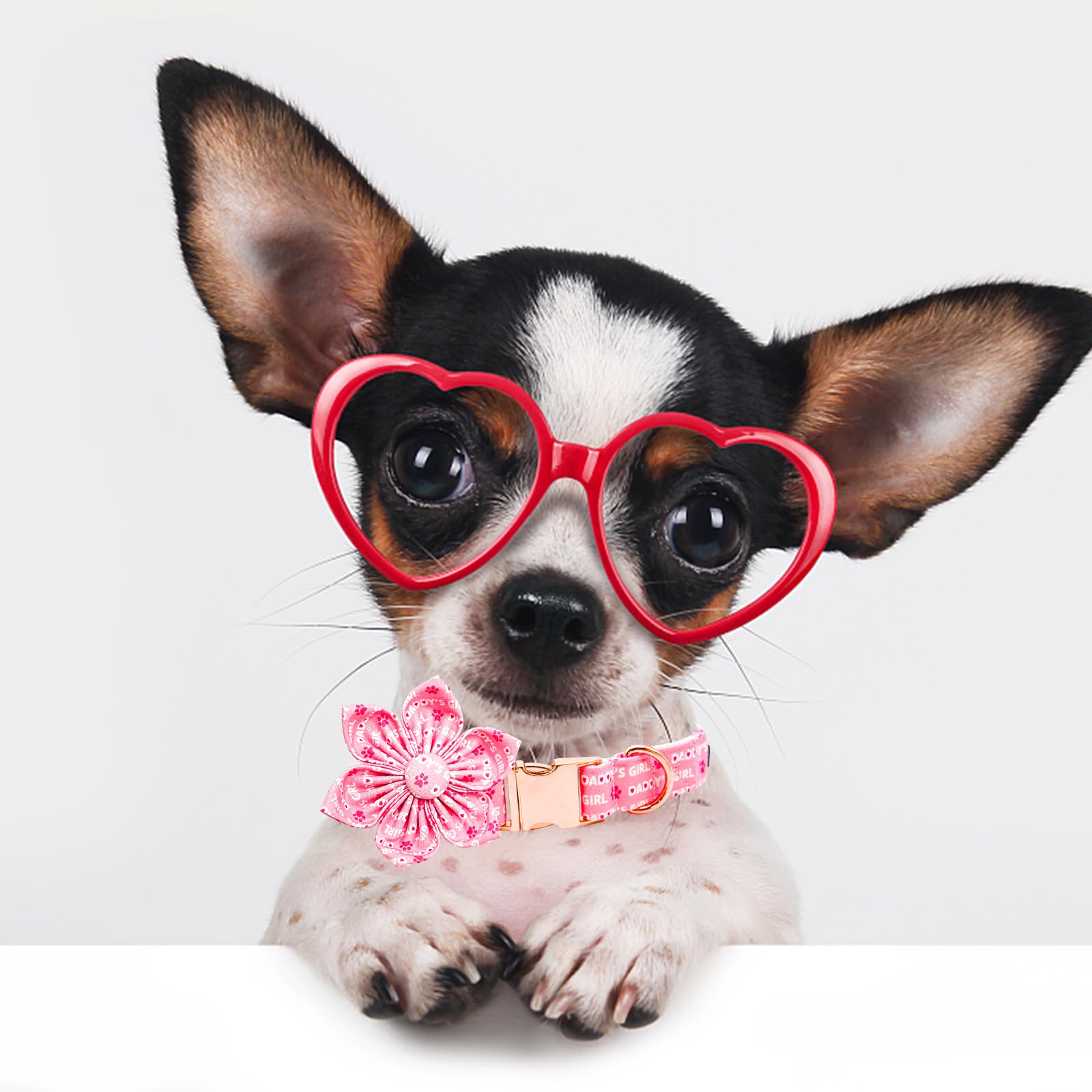 Lionheart Glory Valentine'S Day Dog Collar With Flower For Medium Dogs - Pink With Bowtie, Spring Pet Collar Flowers