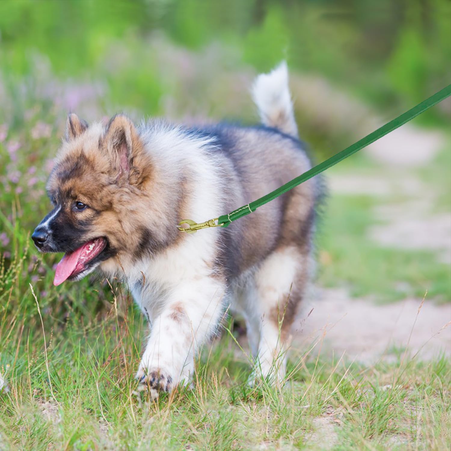 Lwbmg Leather Dog Leash For Small Dogs 6Ft, Heavy Duty Pet Lead, Soft Genuine Leather Leash For Small Medium Dogs(1/2'' X 6', Gr