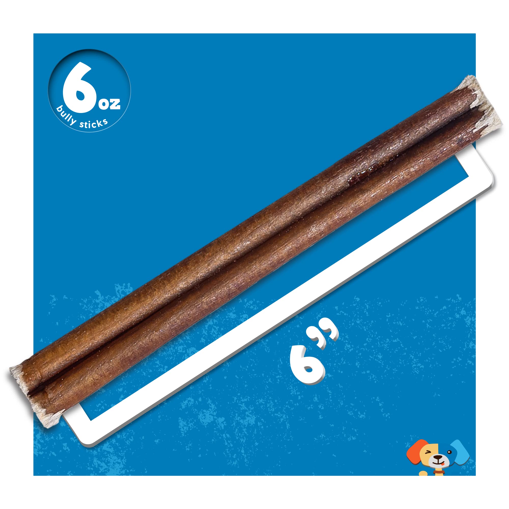 Jack&Pup 6 Bully Sticks Dog Chews | Odor Free Bully Sticks | Single Ingredient, All Natural Pizzle Sticks for Dogs (6oz, 10/12 S