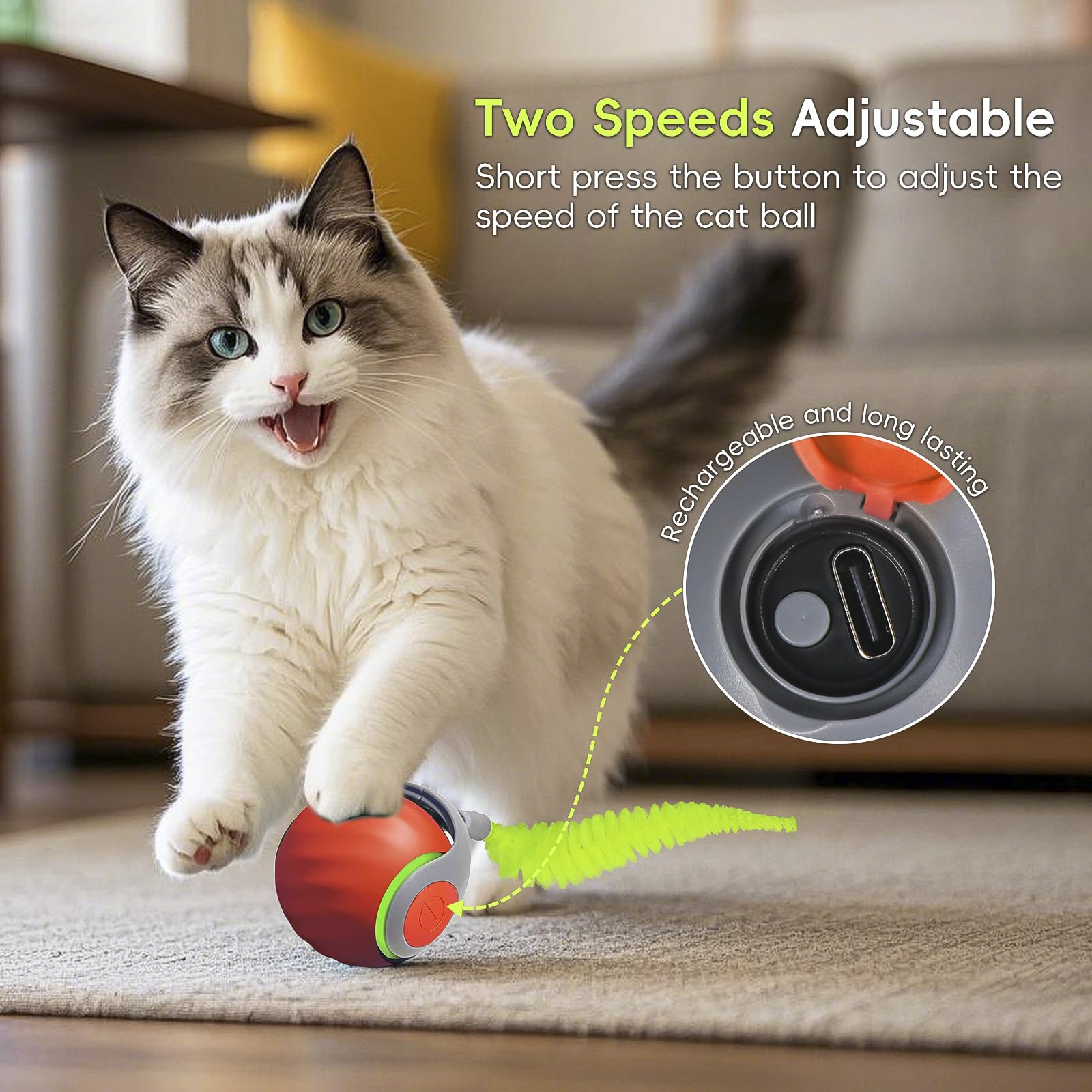 Petrendy Speedy Tail Cat Toy 2.0, Interactive Cat Ball Toy For Bored Indoor Cats, Automatic Moving Pet Play Ball, Two Speed Adju
