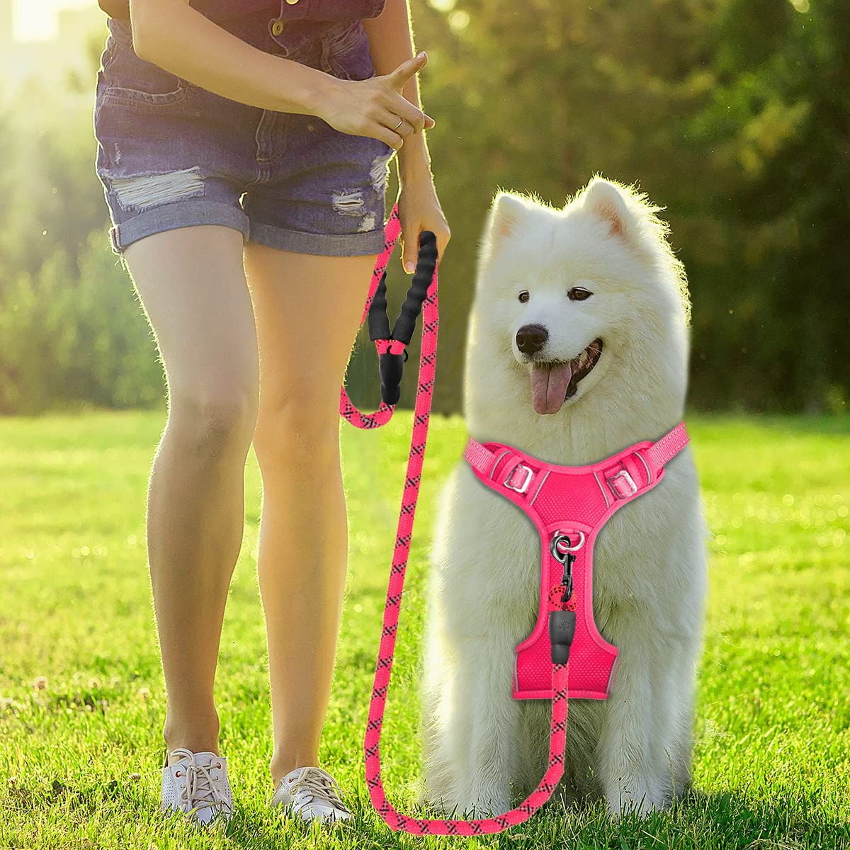 Barkbay No Pull Dog Harness Front Clip Heavy Duty Reflective Easy Control Handle For Large Dog Walking With Id Tag Pocket(Pink,L
