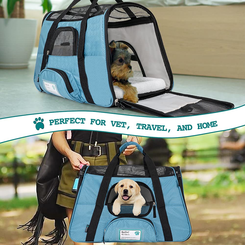 Petami Airline Approved Pet Carrier For Cat, Soft Sided Dog Carrier For Small Dogs, Cat Travel Supplies Accessories For Indoor Cats, Ventilated Pet Carrying Bag Medium Large Kitten Puppy, Large Blue