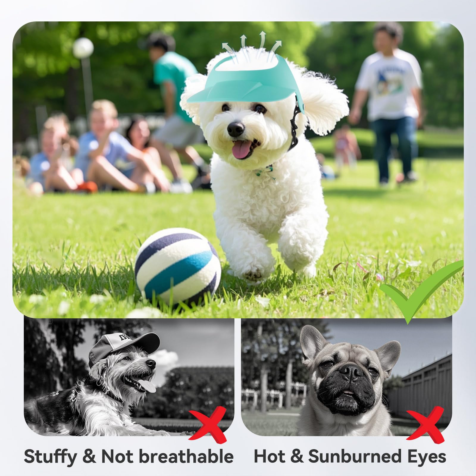 Billionchains Dog Hat For Small Breed Summer Cap With Ear Hole For Beach, Walking, Riding-Blue