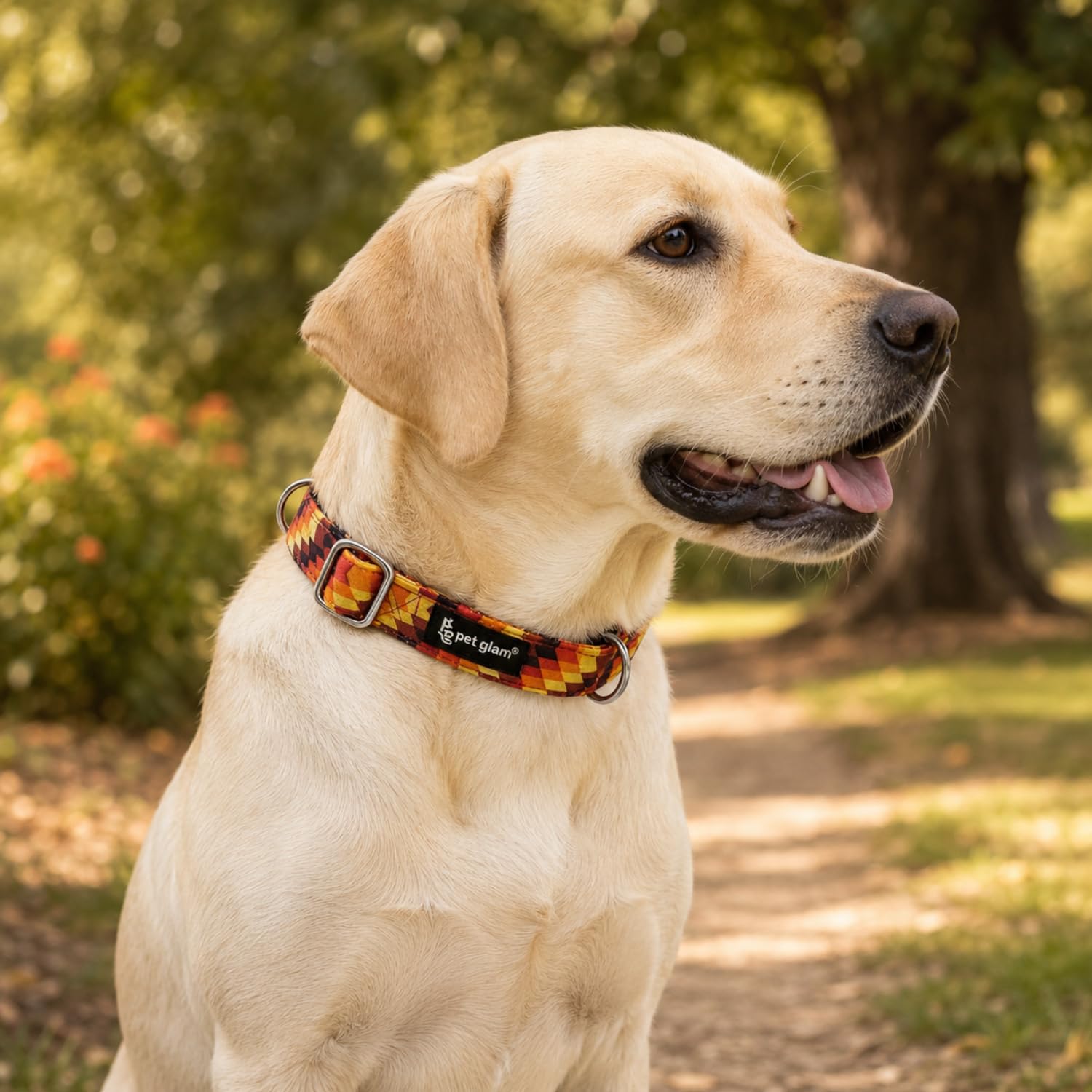 Pet Glam Blaze Martingale Dog Collar | Adjustable NoSlip Training Collar | Heavy Duty Metal DRing | Soft Durable Fabric | Safe