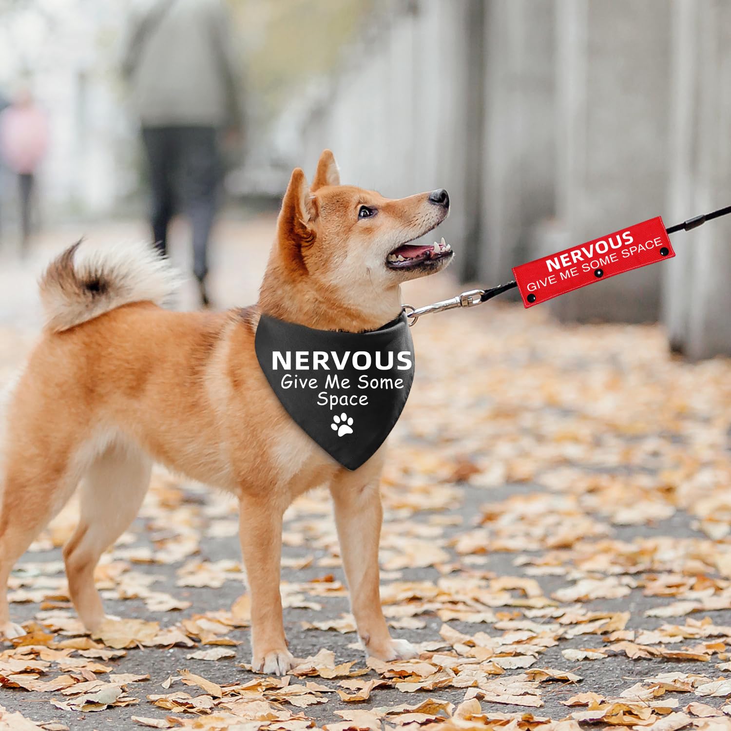 Advivio 2 Pieces Nervous Give Me Some Space Black Dog Scarf Bandana with Red Dog Leash Wrap, Pet Birthday Gift and Dog Lovers Ow