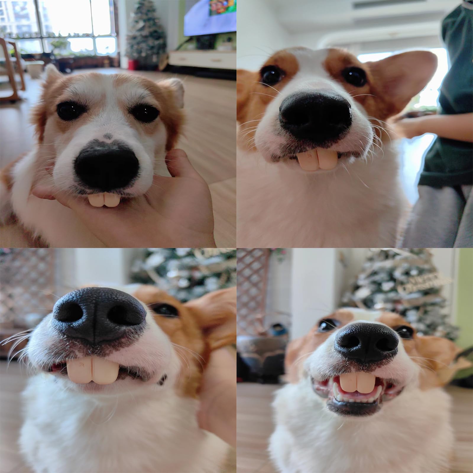 Vampire & Rabbit Teeth For Medium & Large Dogs - 2 Pcs Funny Dog Teeth Braces For Halloween & Christmas Festival Costume