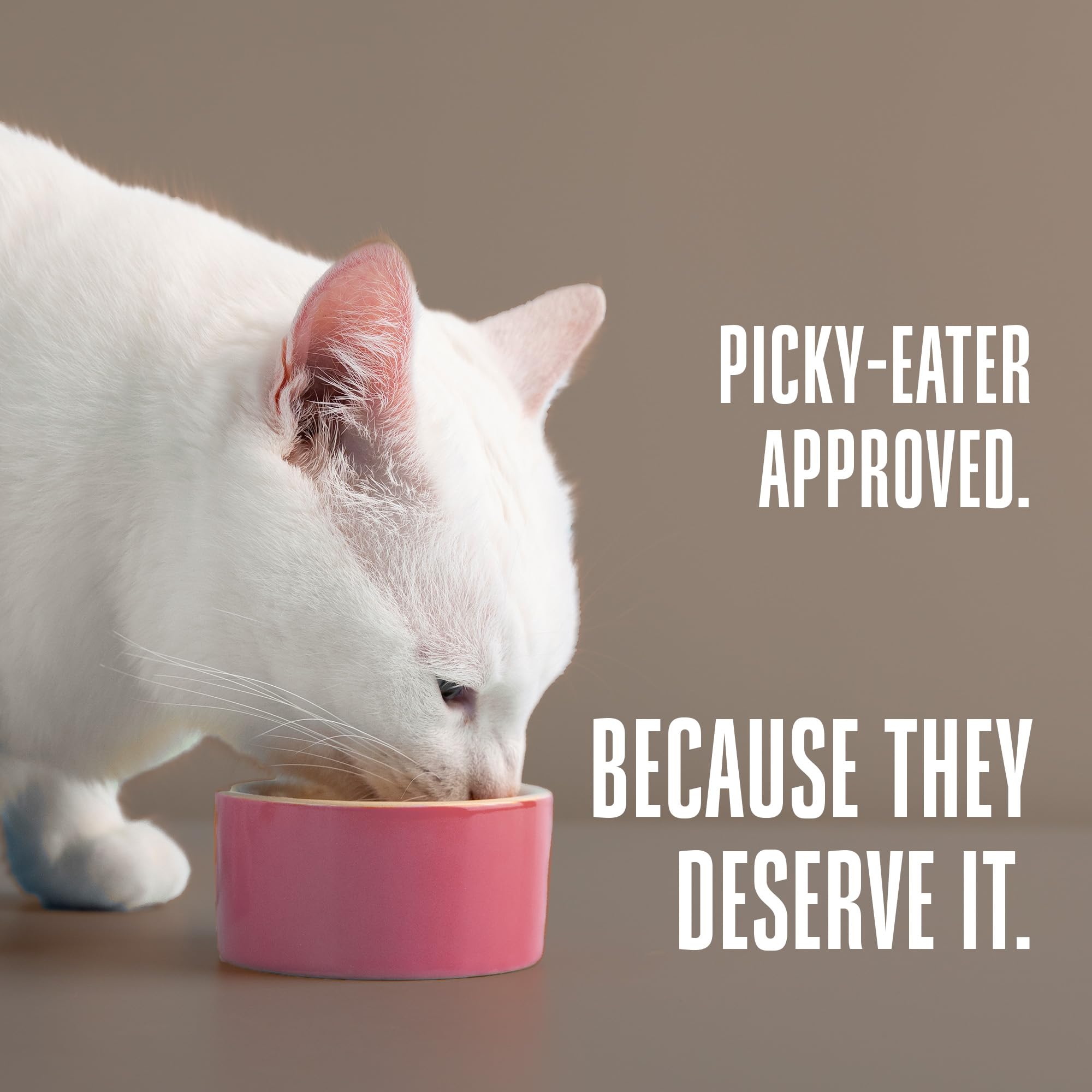 Whole Life Cat Freeze Dried Cat Food - Human-Grade Wet Food Toppers, Single Ingredient Snacks & Lickable Treats, Instantly Hydra