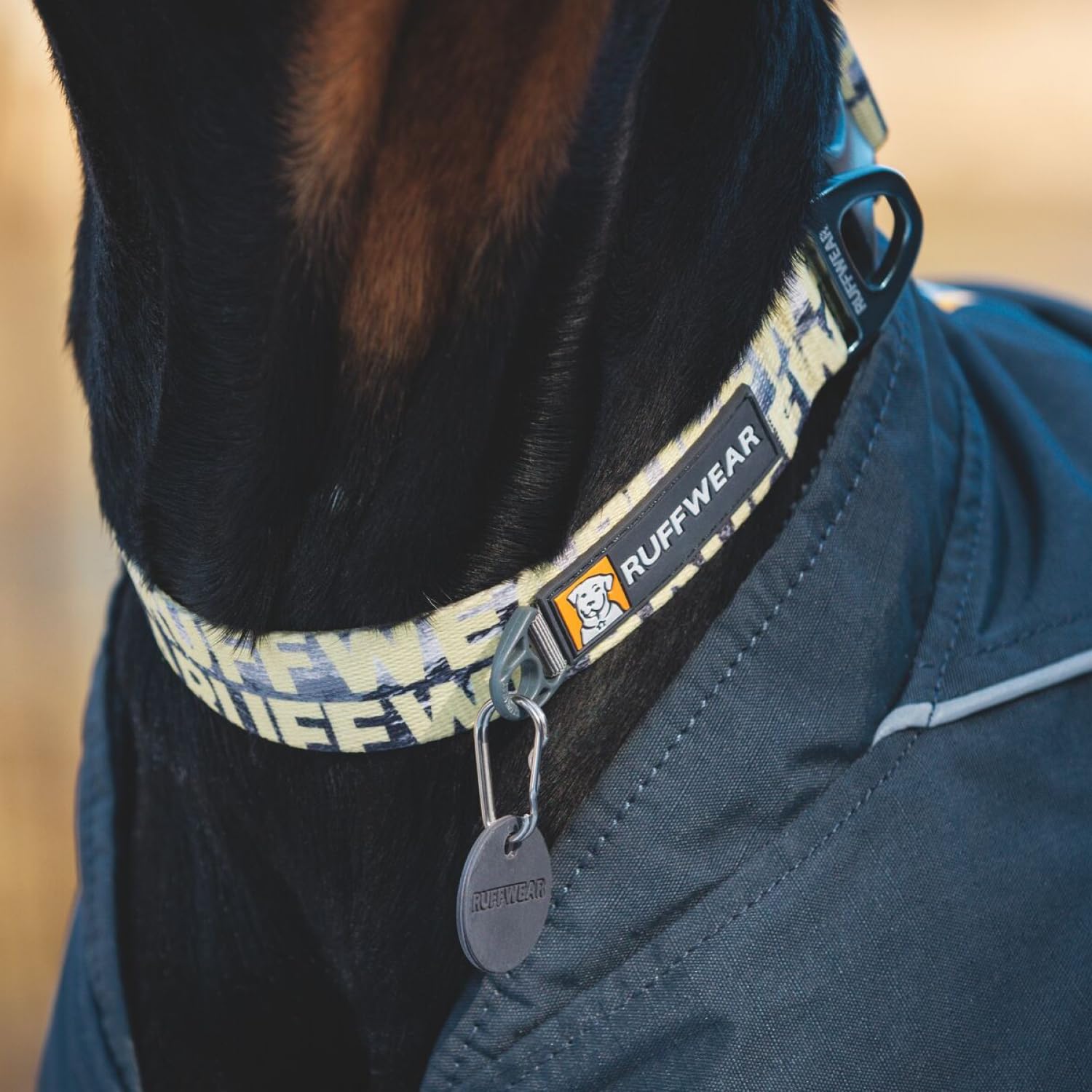 Ruffwear, Front Range Dog Collar, Durable And Comfortable Collar For Everyday Use, Mountains Logo, 11'-14'
