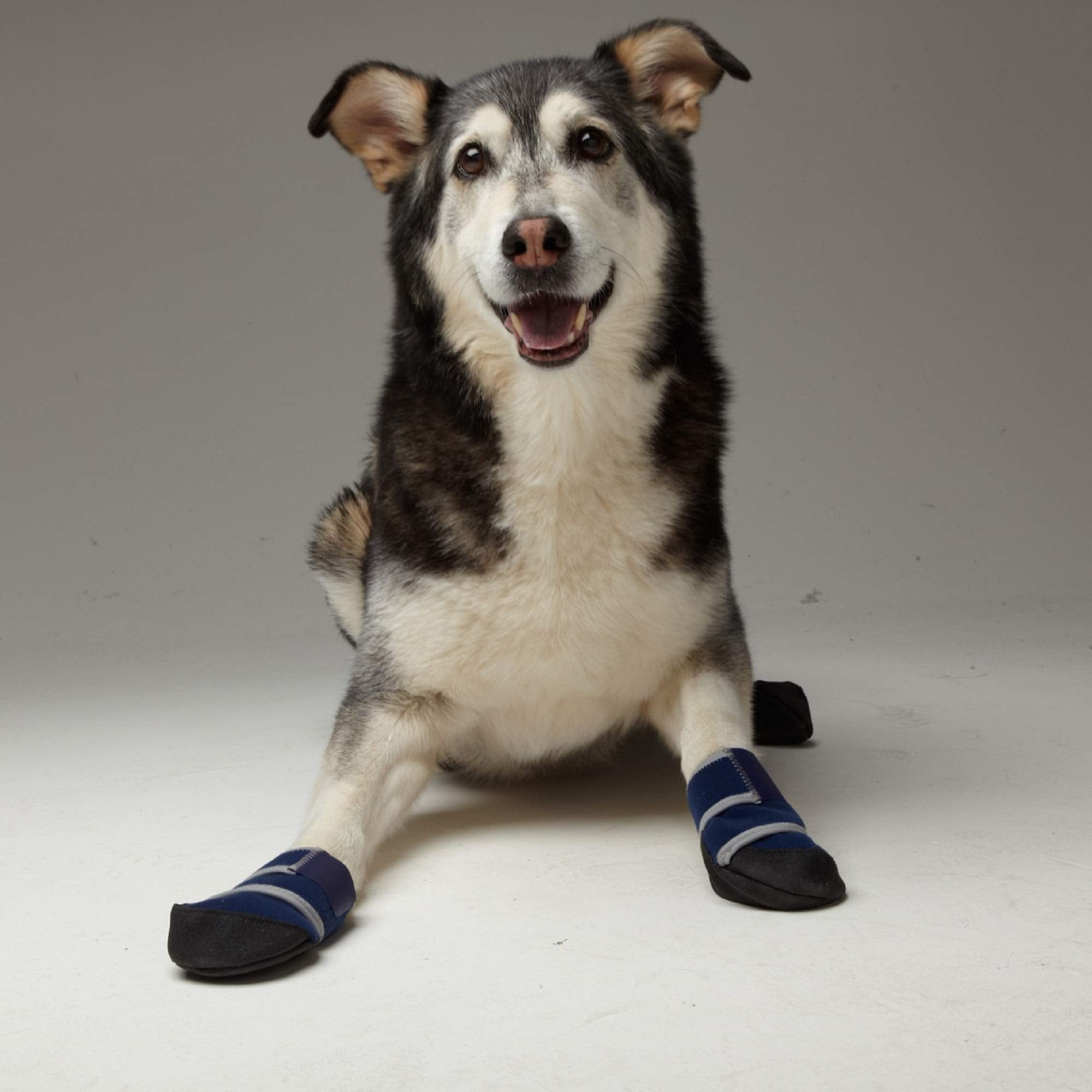Healers Medical Dog Boots and Bandages, X-Small