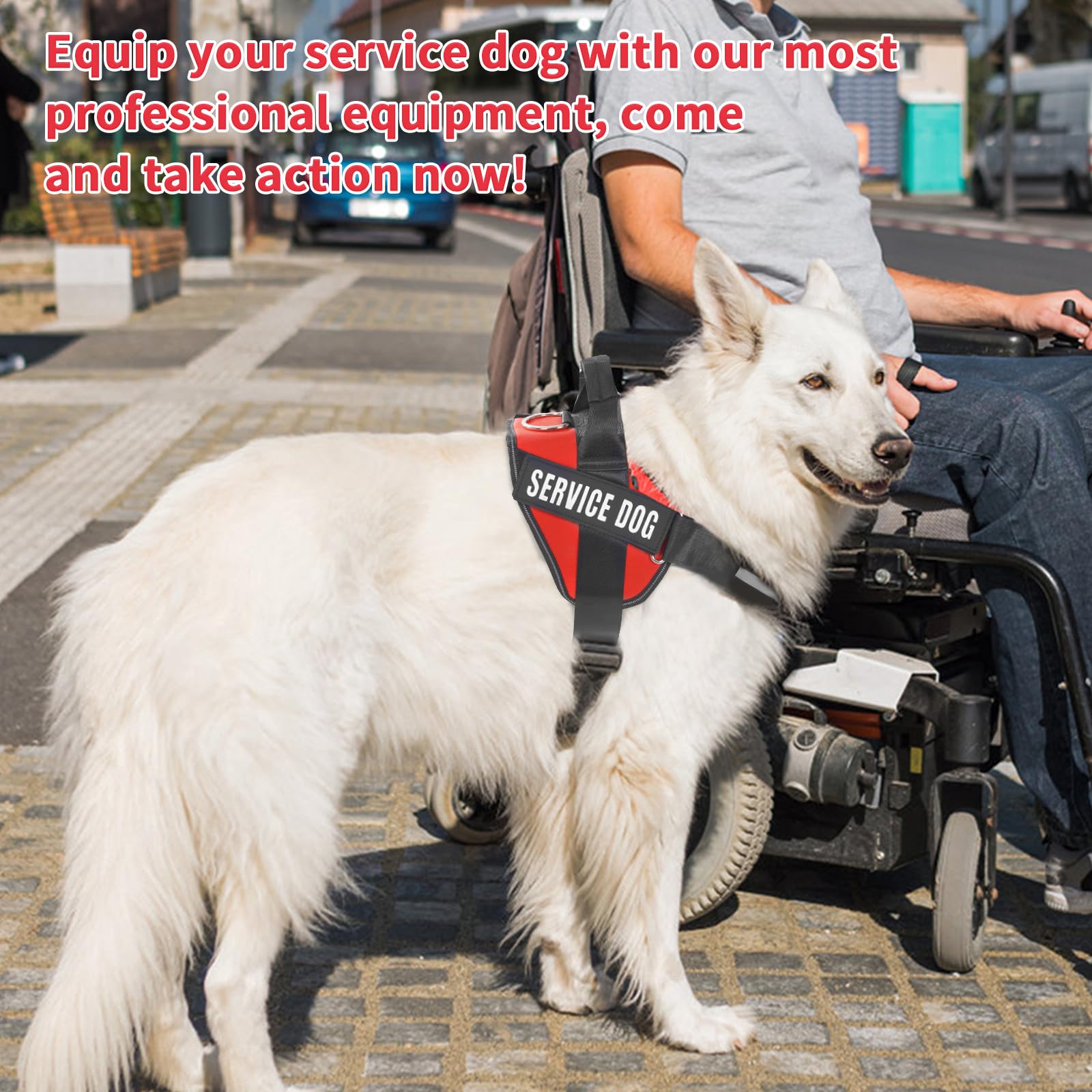 Opstin Service Dog Vest, Id Tag + 50 Ada Information Cards, Service Dog Harness W Patch In Sizes X Small To Xx Large, Ruggedized