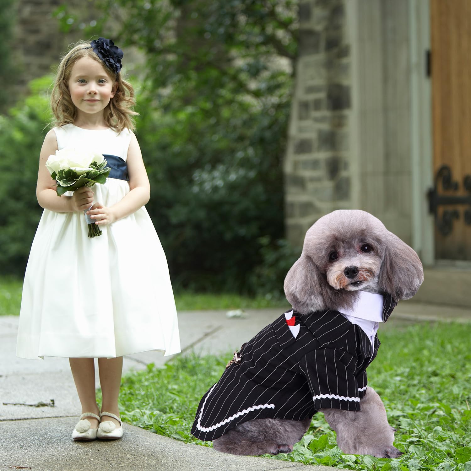 Gentleman Dog Shirt Puppy Pet Small Dog Clothes,Pet Suit Bow Tie Costume, Cat Wedding Shirt Formal Tuxedo With Black Tie, Dog Prince Wedding Bow Tie Suit (S, Black)
