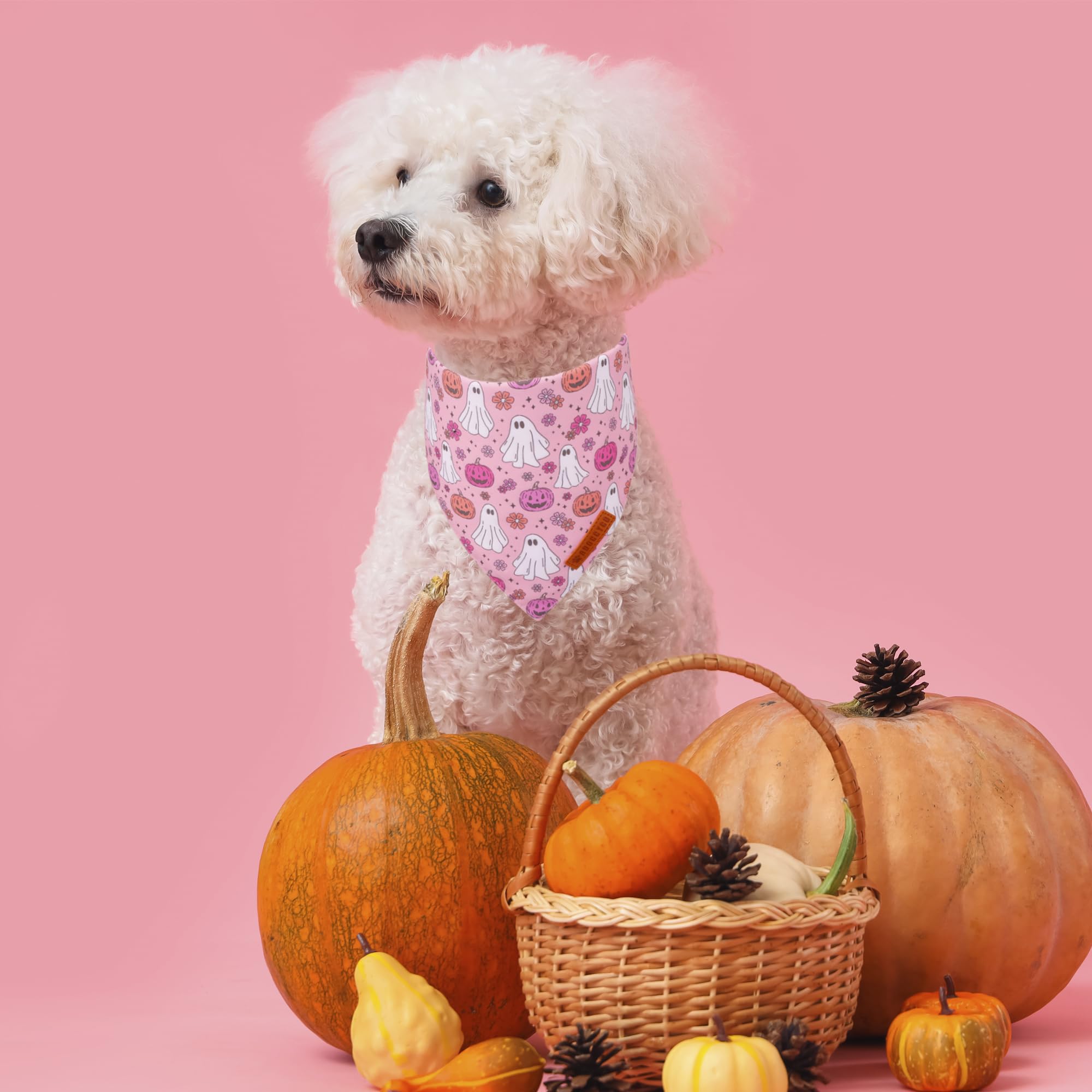 ADOGGYGO Halloween Dog Bandana, Pink Pumpkin Ghost Scarf, Adjustable Fit Female Halloween Bandanas for Small Dogs Puppies (Small
