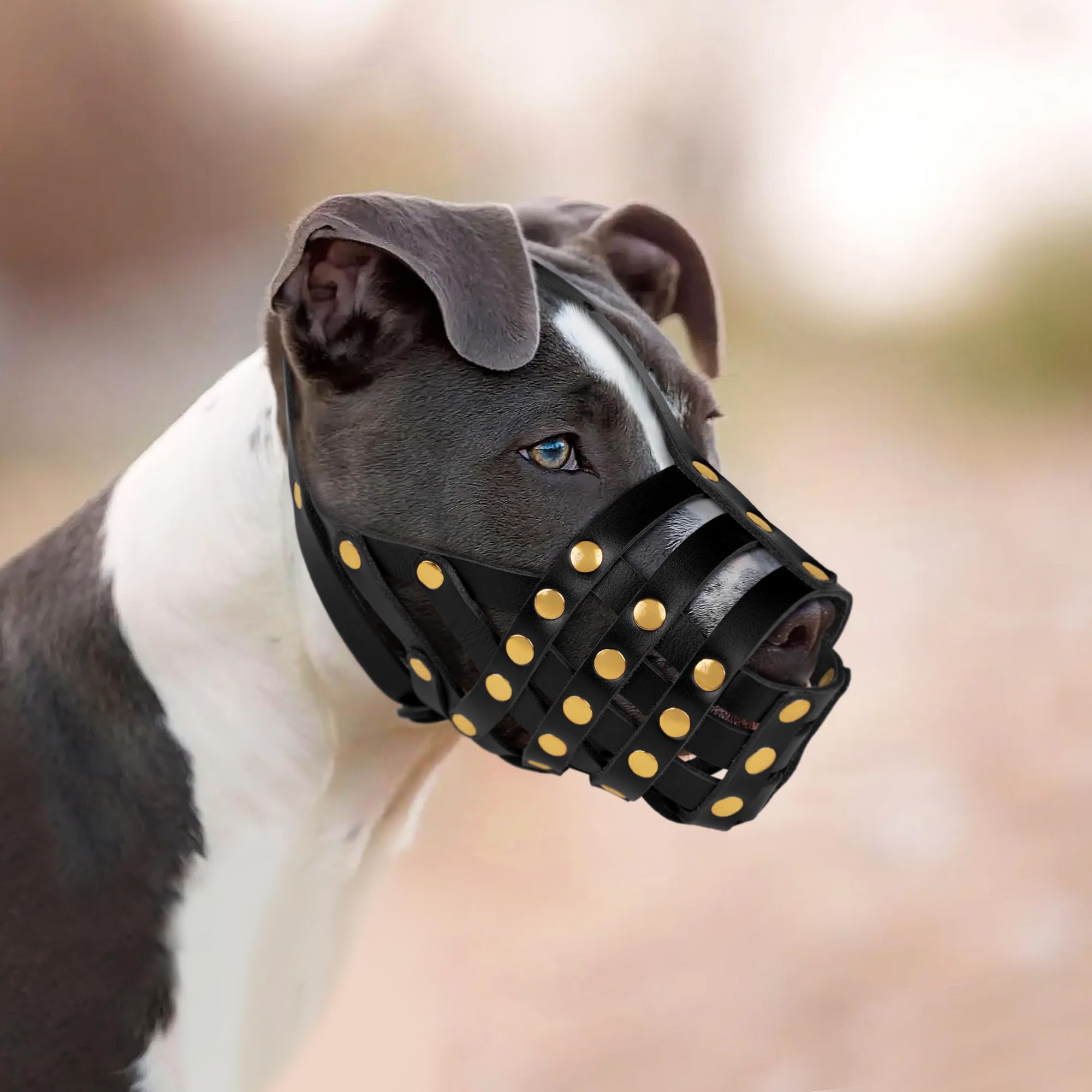 Oopsdoggy Pitbull Dog Muzzle For Large Dogs - Leather Breathable Secure Basket Muzzle For Medium Large Breeds Prevents Biting No