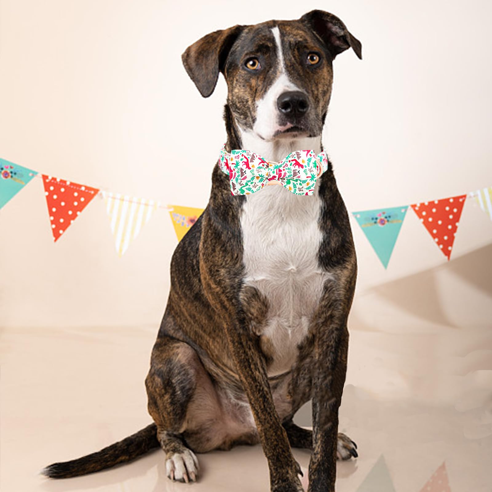 Lionheart Glory Dog Collar, Cute Dog Bow Collar Boy Girl Dog Collars With Bow Adjustable Dinosaur Bowtie Collar For Medium Dogs