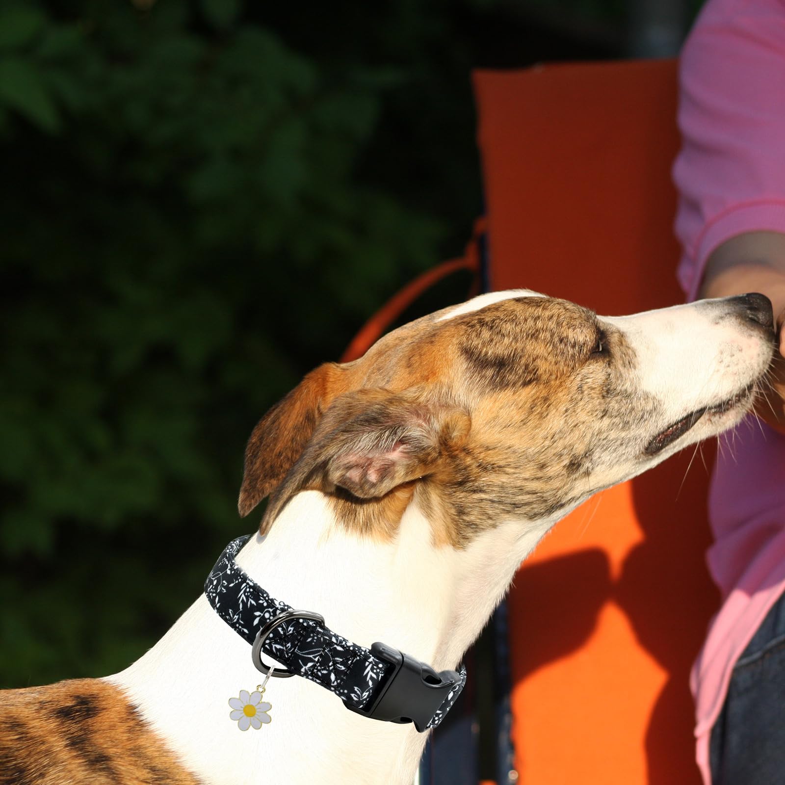 Flower Patterns Dog Collar With Accessories, Soft Cotton Dog Collars For Small Medium Large Female And Male Dogs(White Flower M)