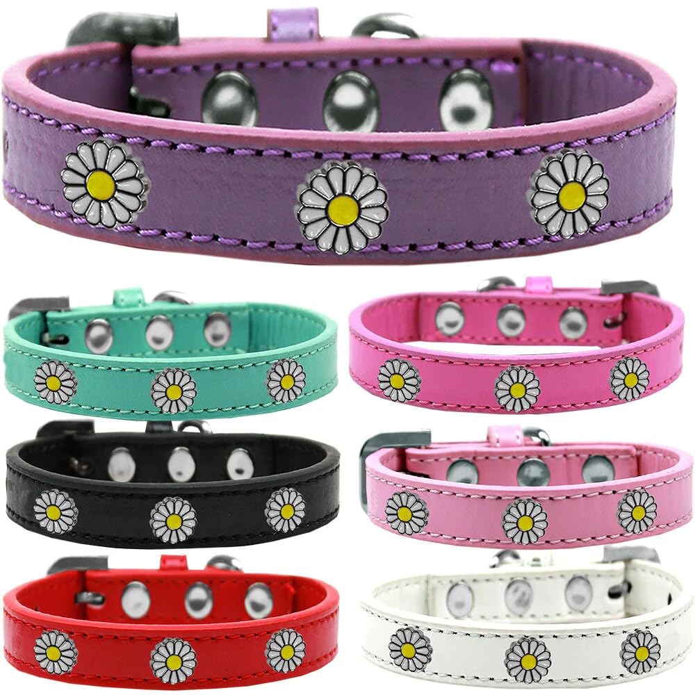Dog, Puppy and Pet Widget Fashion Collar, &quot;White Daisies&quot; Aqua 18