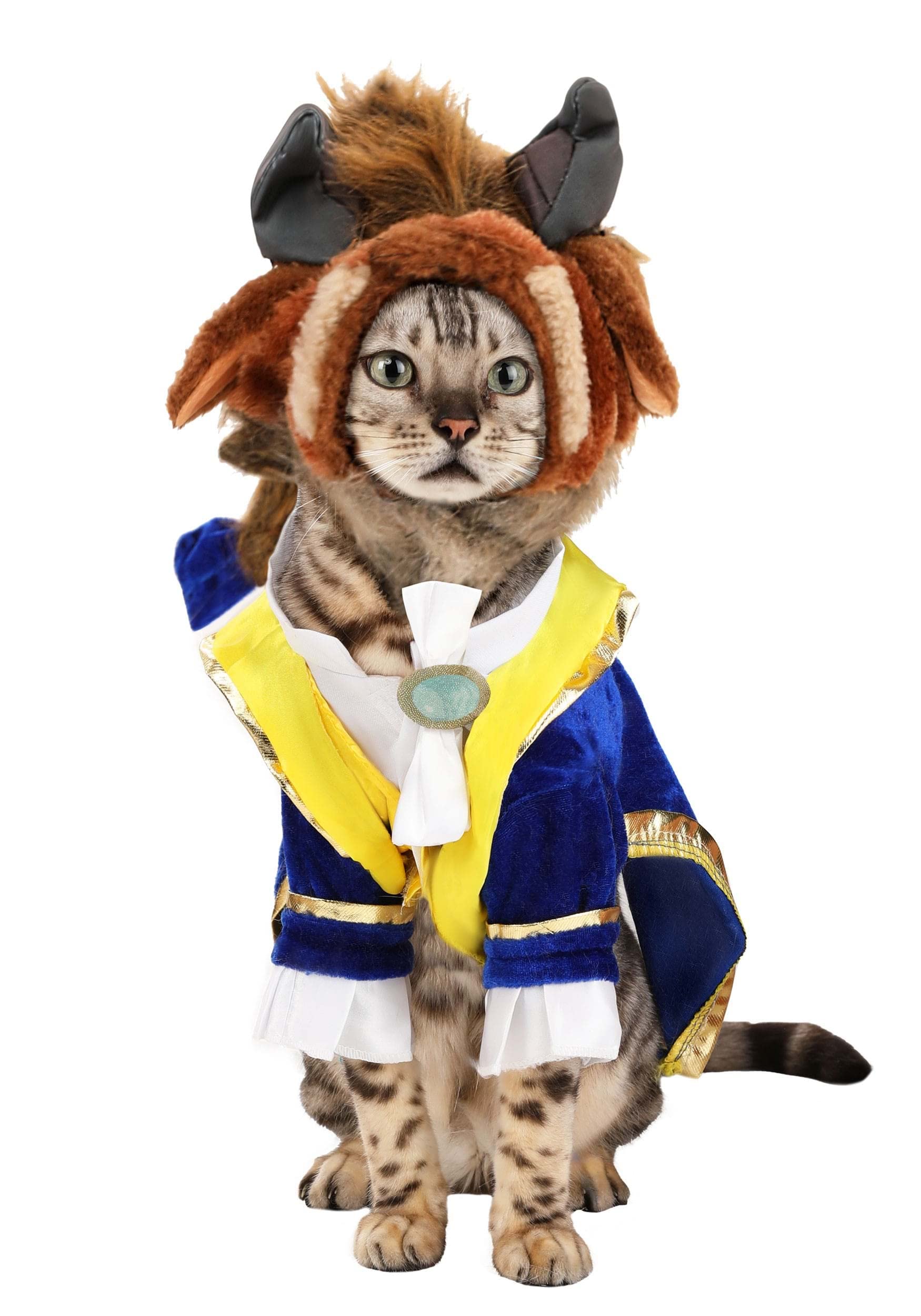 Rubies Disney Beauty & The Beast Pet Costume, Medium, Beast Color, Model 200646_M for Themed Parties and Halloween
