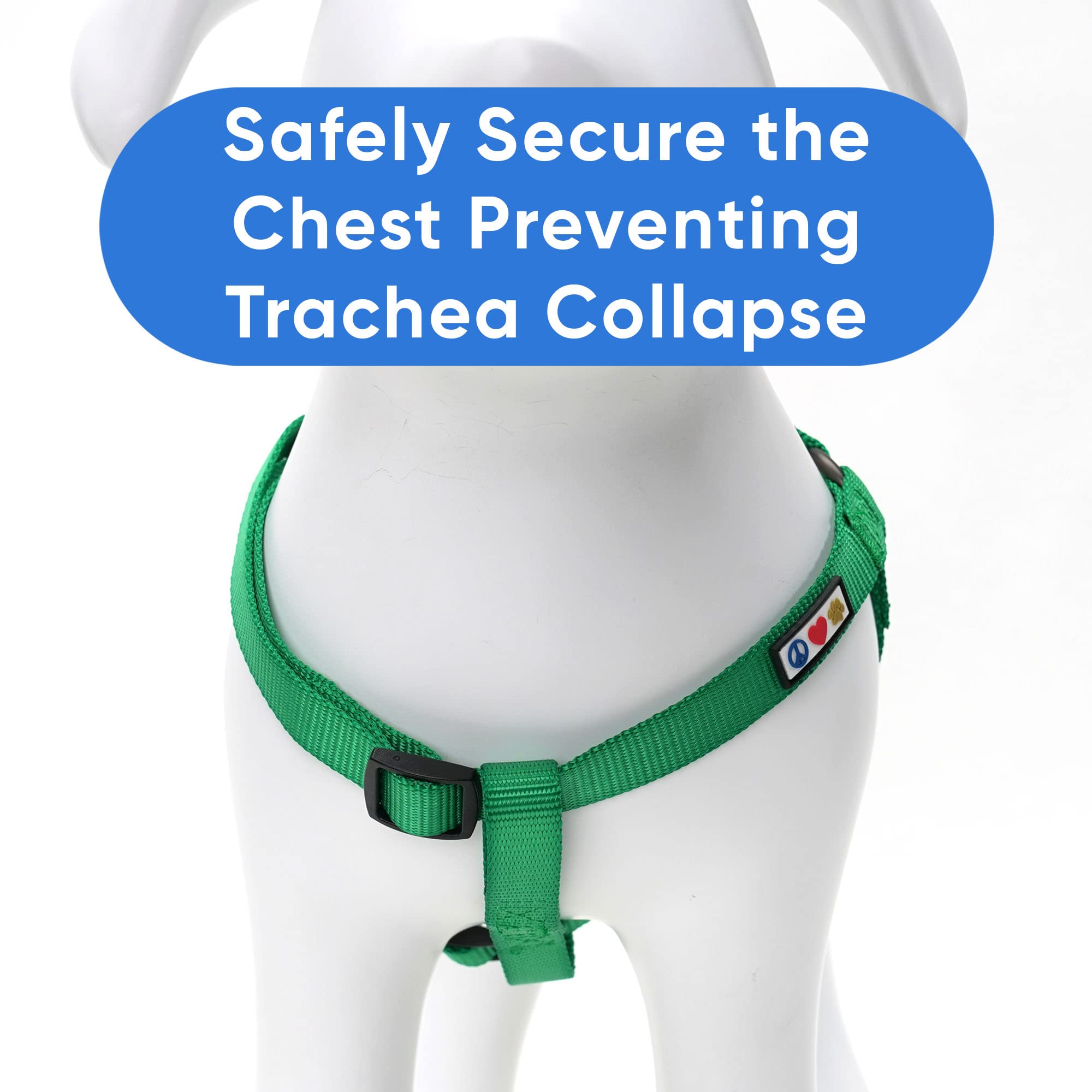 Pawtitas Solid Color Step-In Dog Harness - Large, Lush Green - Training & Walking Your Puppy