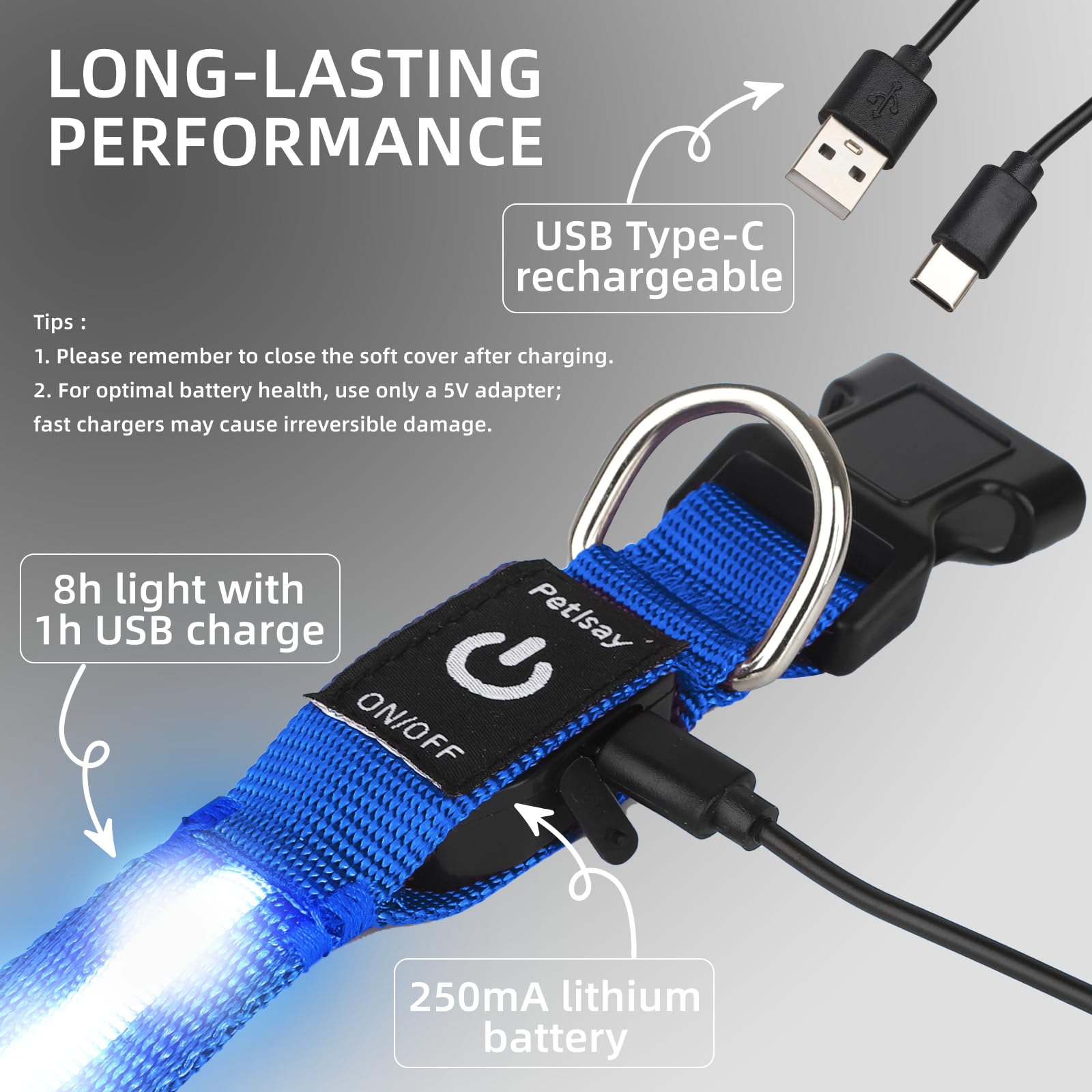 Petisay Light Up Dog Collar - High Visibility & Durable Nylon Material - Usb C Rechargeable & Waterproof Led Dog Collar For Nigh