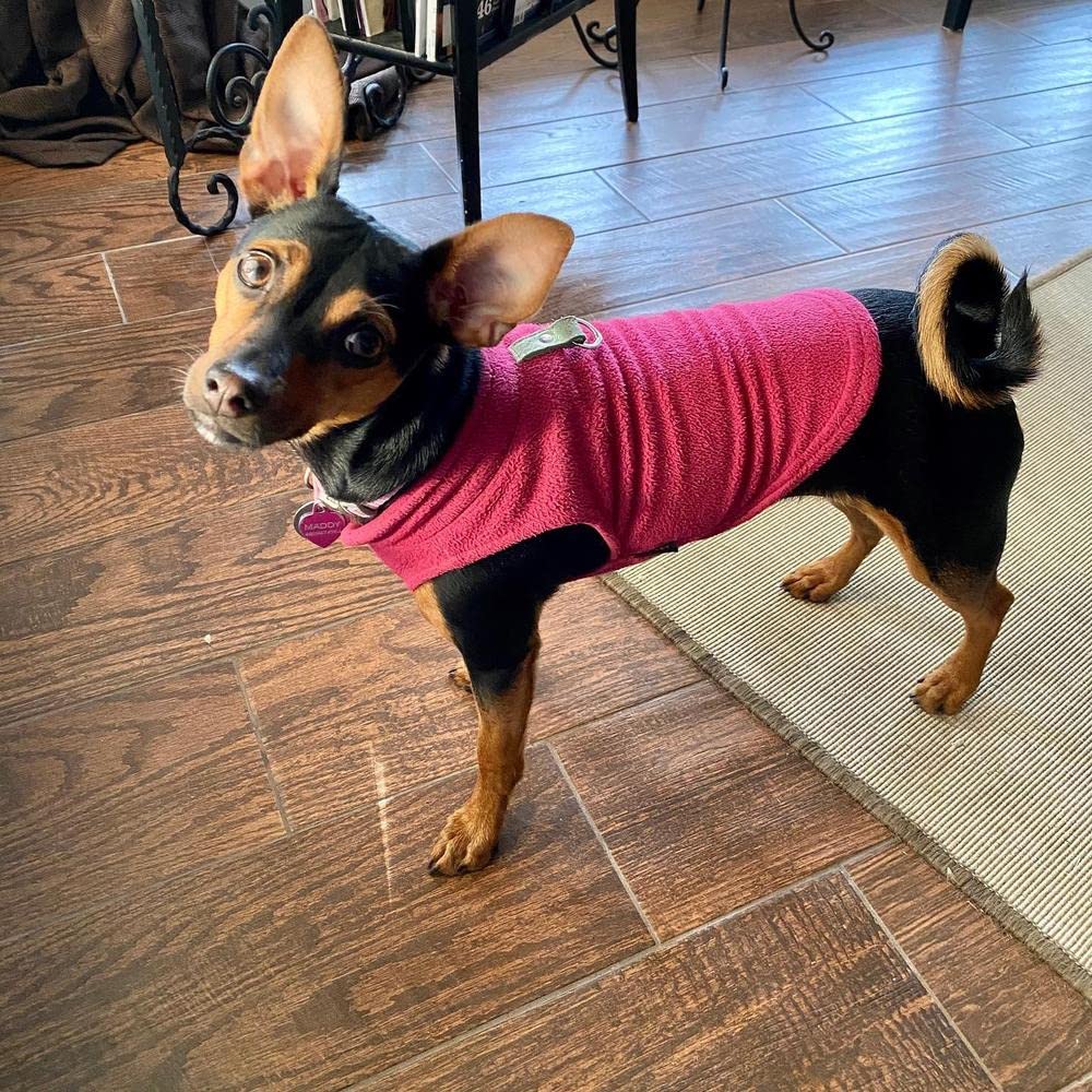 Gooby Fleece Vest Dog Sweater - Fuchsia, Large - Warm Pullover Fleece Dog Jacket with O-Ring Leash - Winter Small Dog Sweater Co