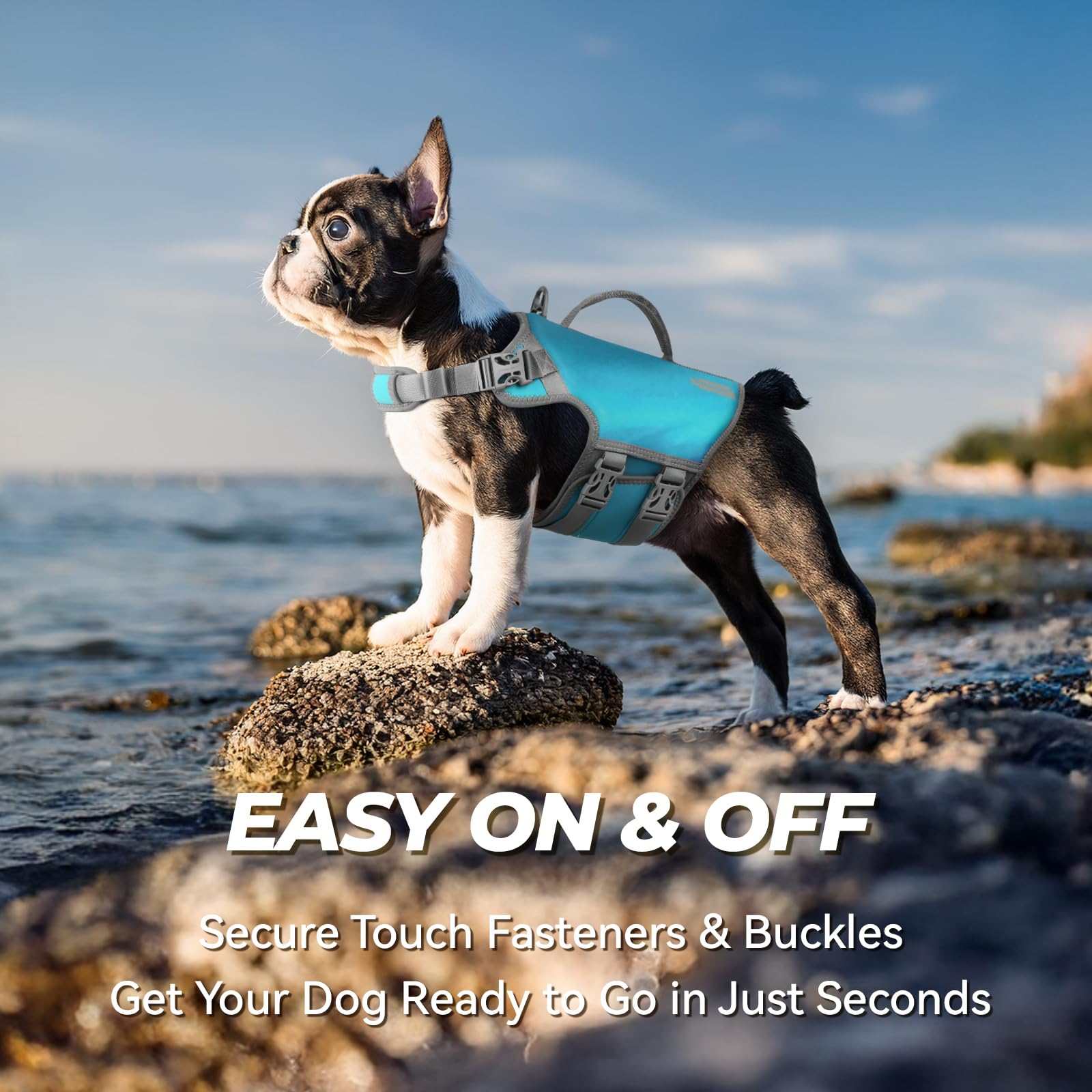 Vivaglory Neoprene Dog Life Jacket Dog Lifevest For Boating Hunting & Swimming, Lightweight With Leash Ring, L, Teal